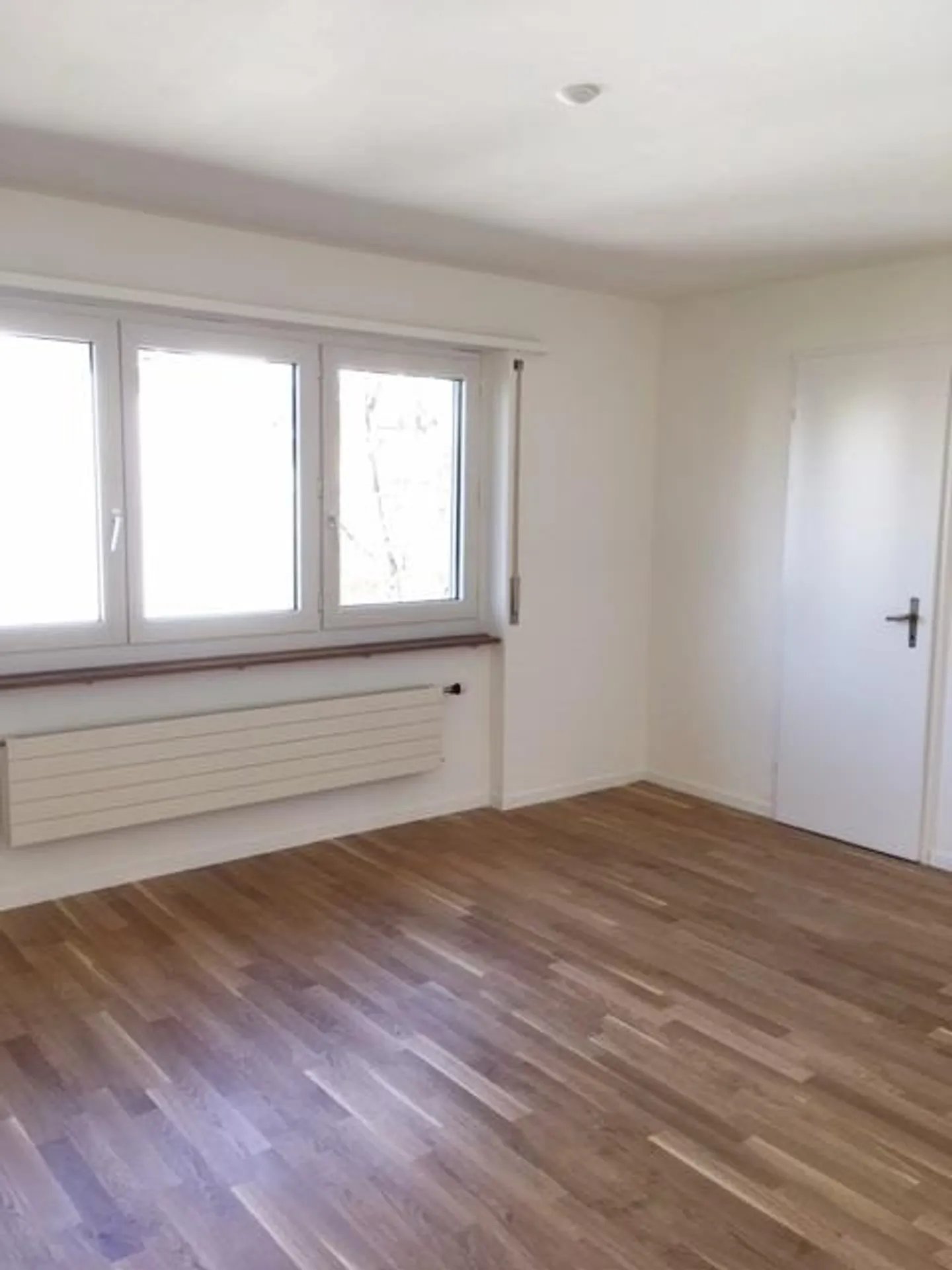 Geräumige Wohnung in Wallisellen - Foto 6 von 10