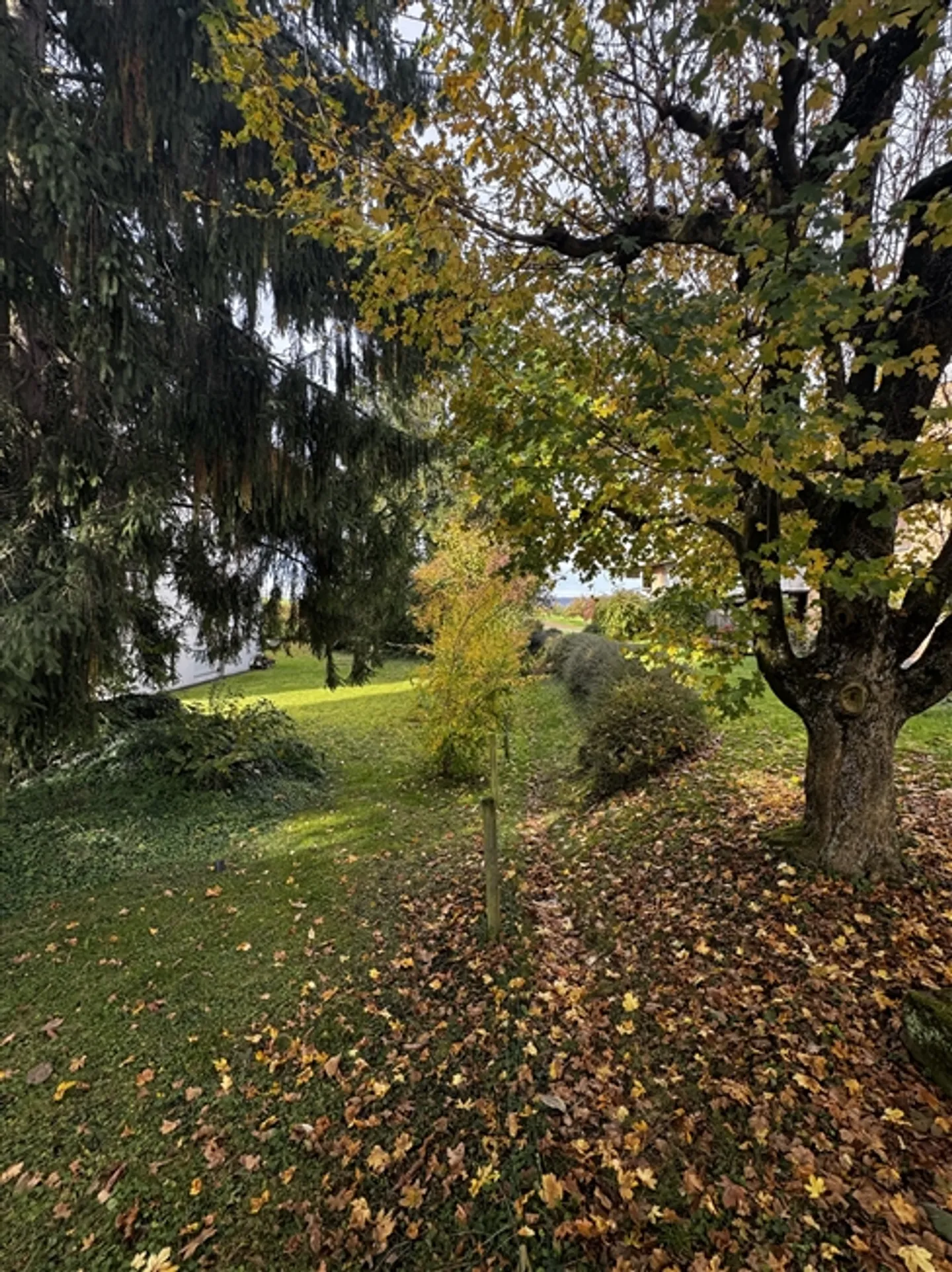 Apartment for sale - Photo 6 of 10