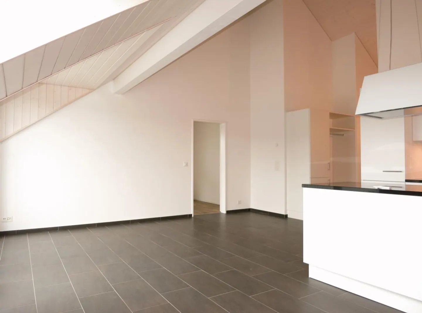 Appartement sous les combles de 3,5 pièces avec vue sur la Habsbourg - Photo 3 sur 8