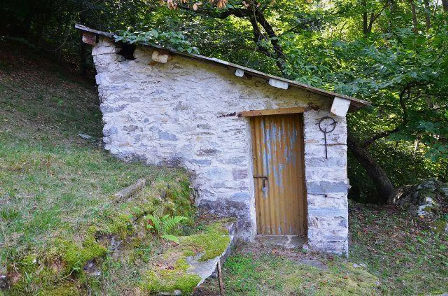 Großes rustikales Haus, das im Wald mit großem Grundstück eingetaucht ist - Foto 11 von 27