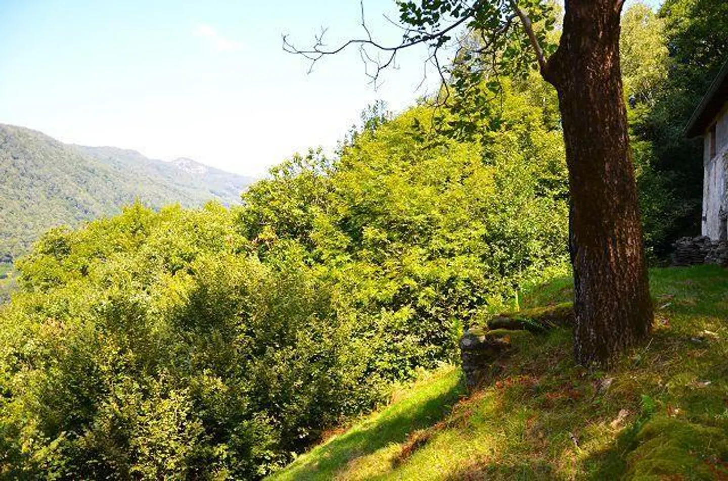 Großes rustikales Haus, das im Wald mit großem Grundstück eingetaucht ist - Foto 16 von 27