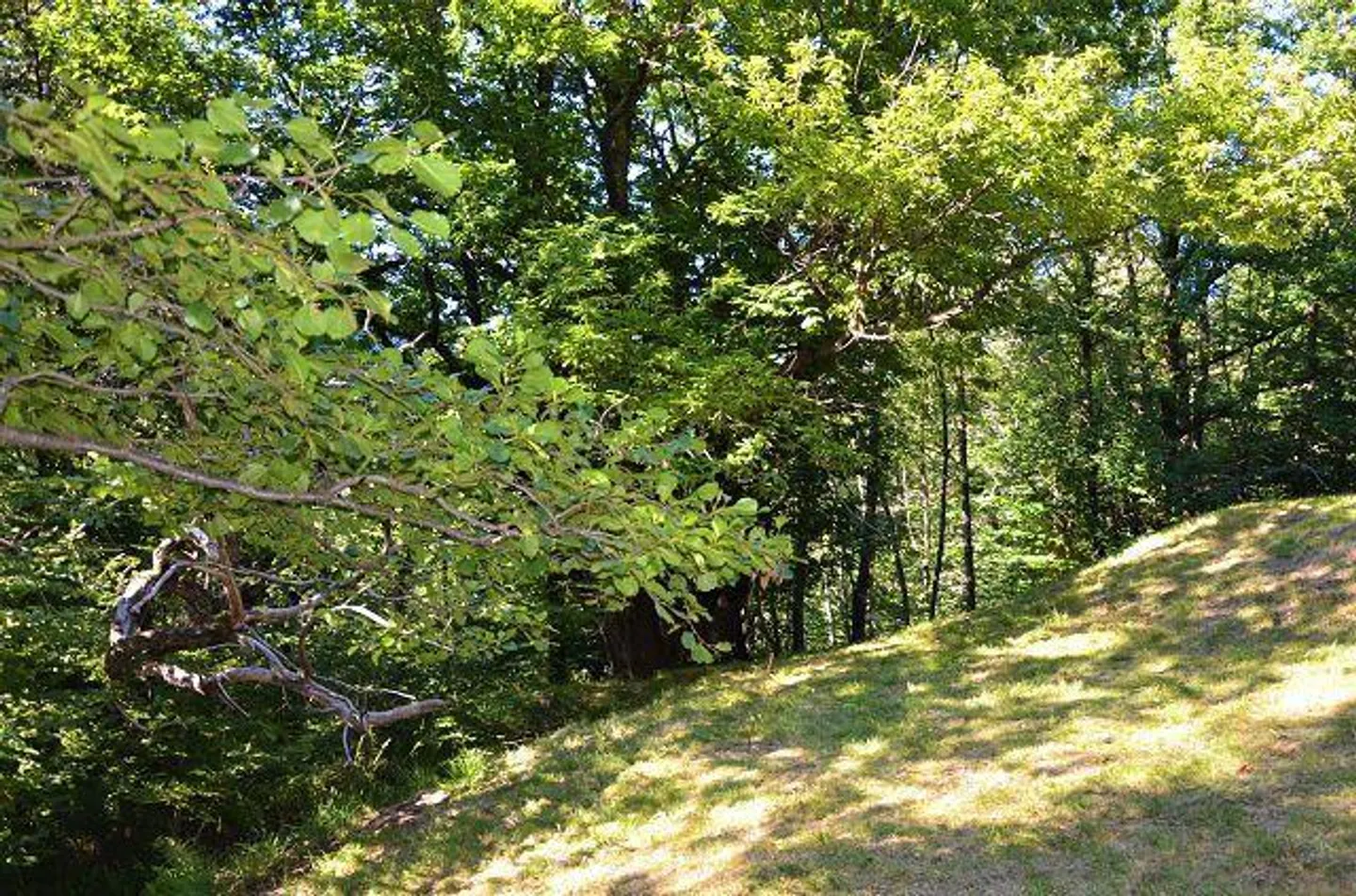 Großes rustikales Haus, das im Wald mit großem Grundstück eingetaucht ist - Foto 18 von 27