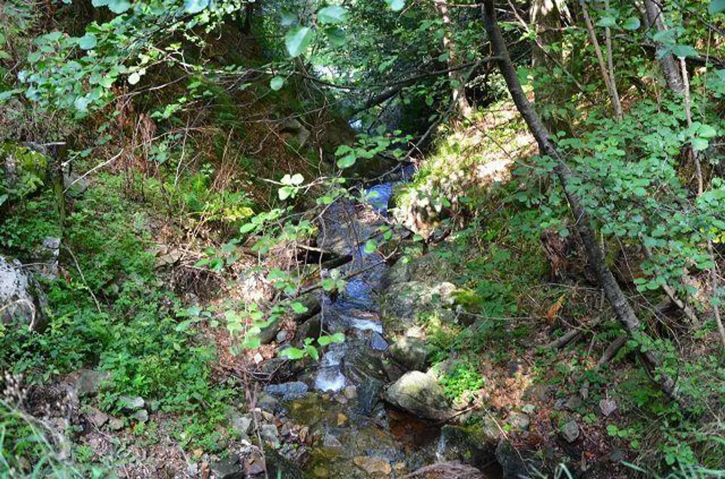Großes rustikales Haus, das im Wald mit großem Grundstück eingetaucht ist - Foto 19 von 27