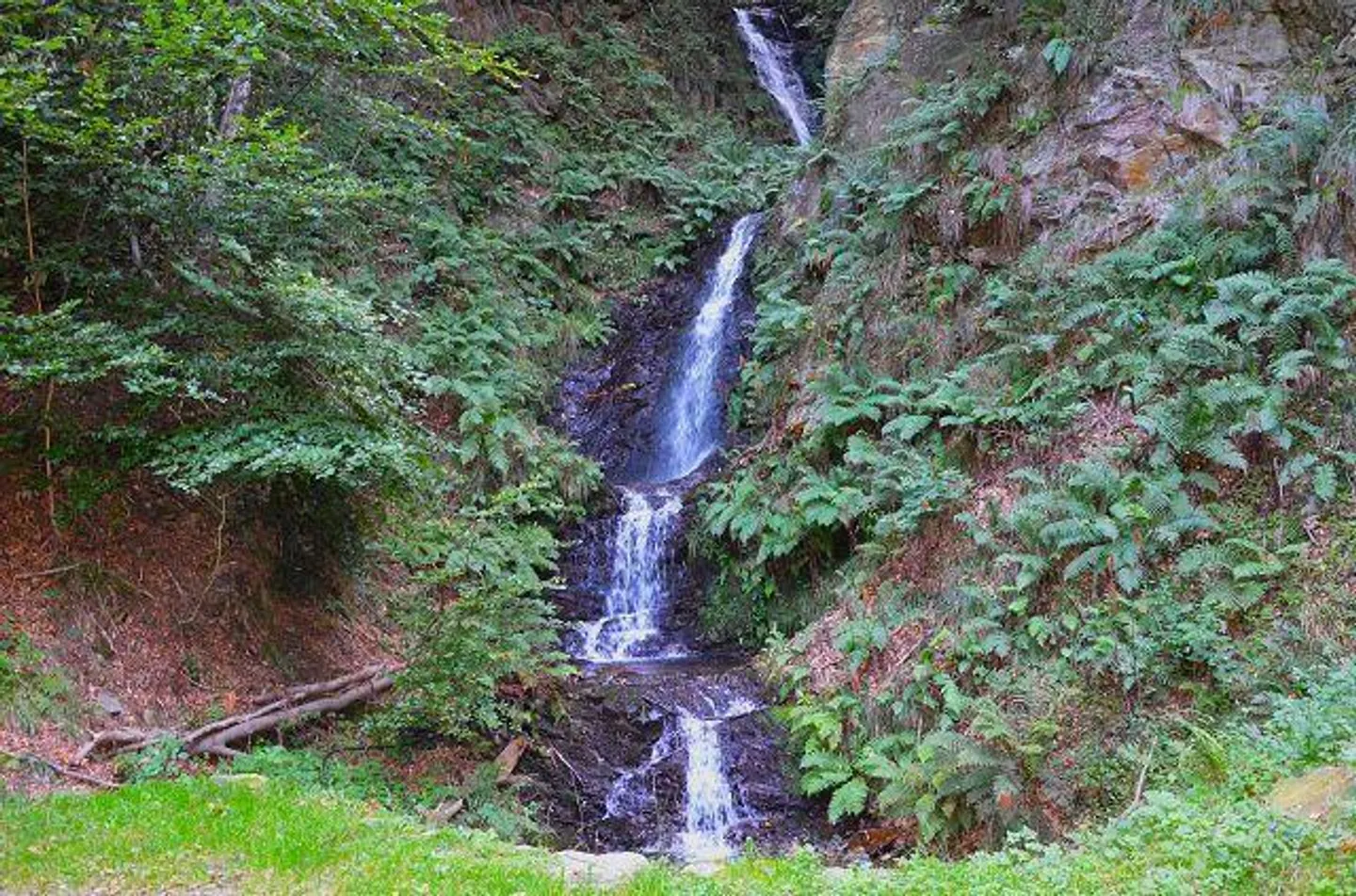 Großes rustikales Haus, das im Wald mit großem Grundstück eingetaucht ist - Foto 20 von 27