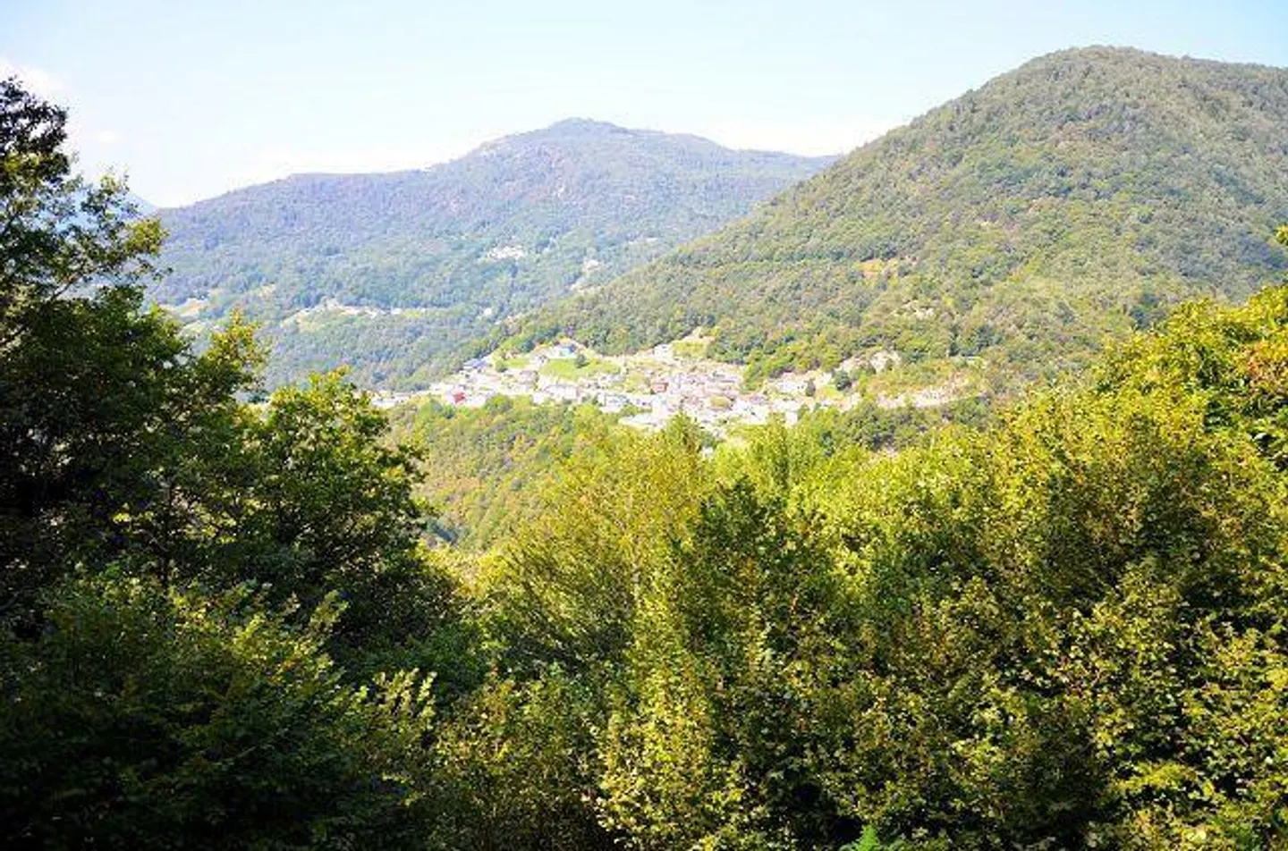 Großes rustikales Haus, das im Wald mit großem Grundstück eingetaucht ist - Foto 21 von 27
