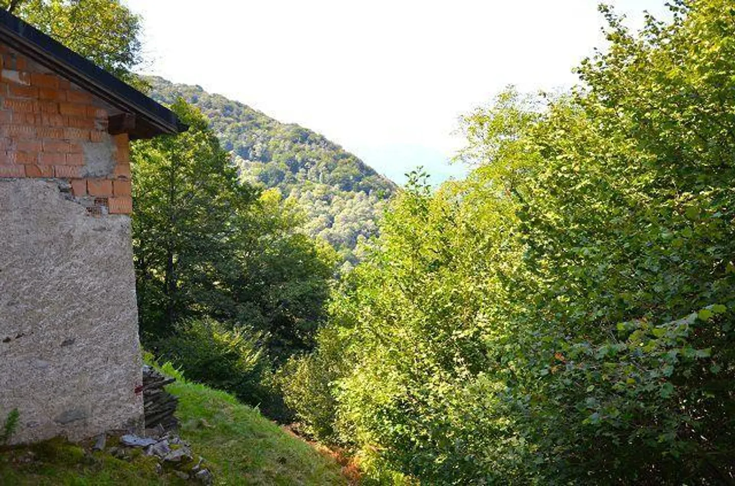 Großes rustikales Haus, das im Wald mit großem Grundstück eingetaucht ist - Foto 23 von 27