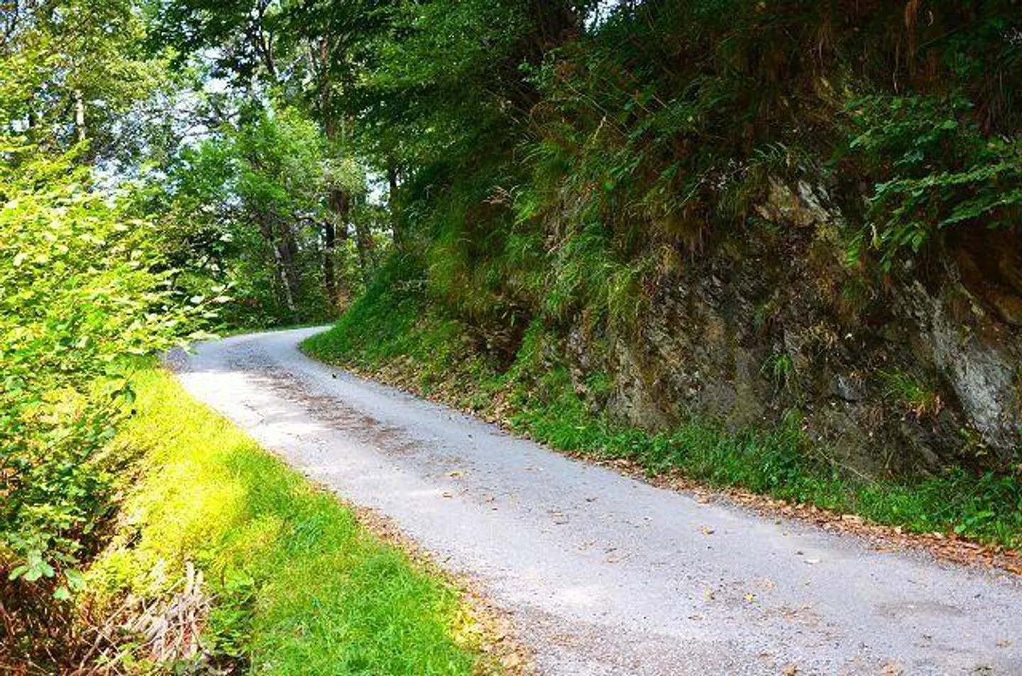 Großes rustikales Haus, das im Wald mit großem Grundstück eingetaucht ist - Foto 24 von 27