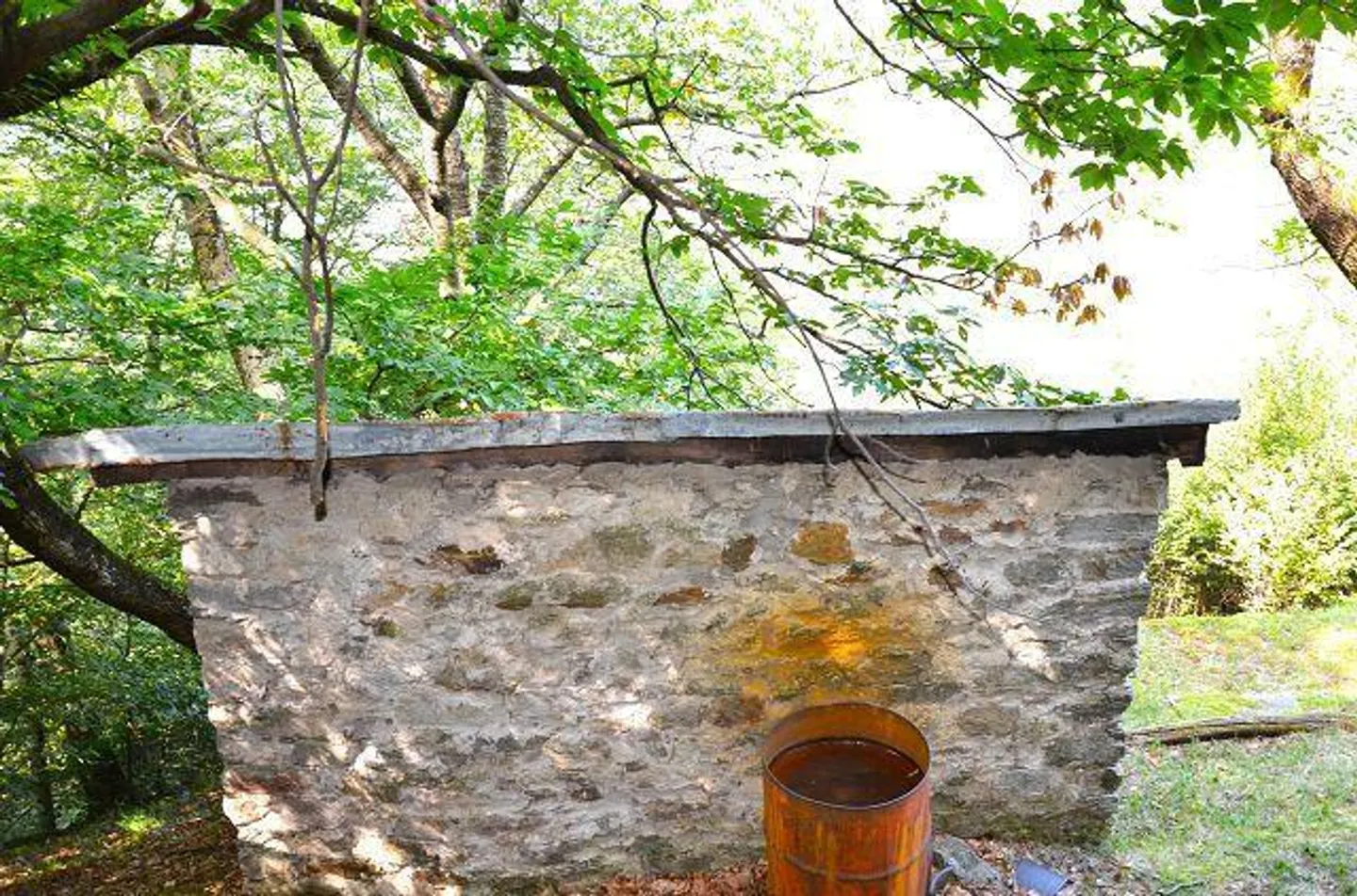 Großes rustikales Haus, das im Wald mit großem Grundstück eingetaucht ist - Foto 12 von 27