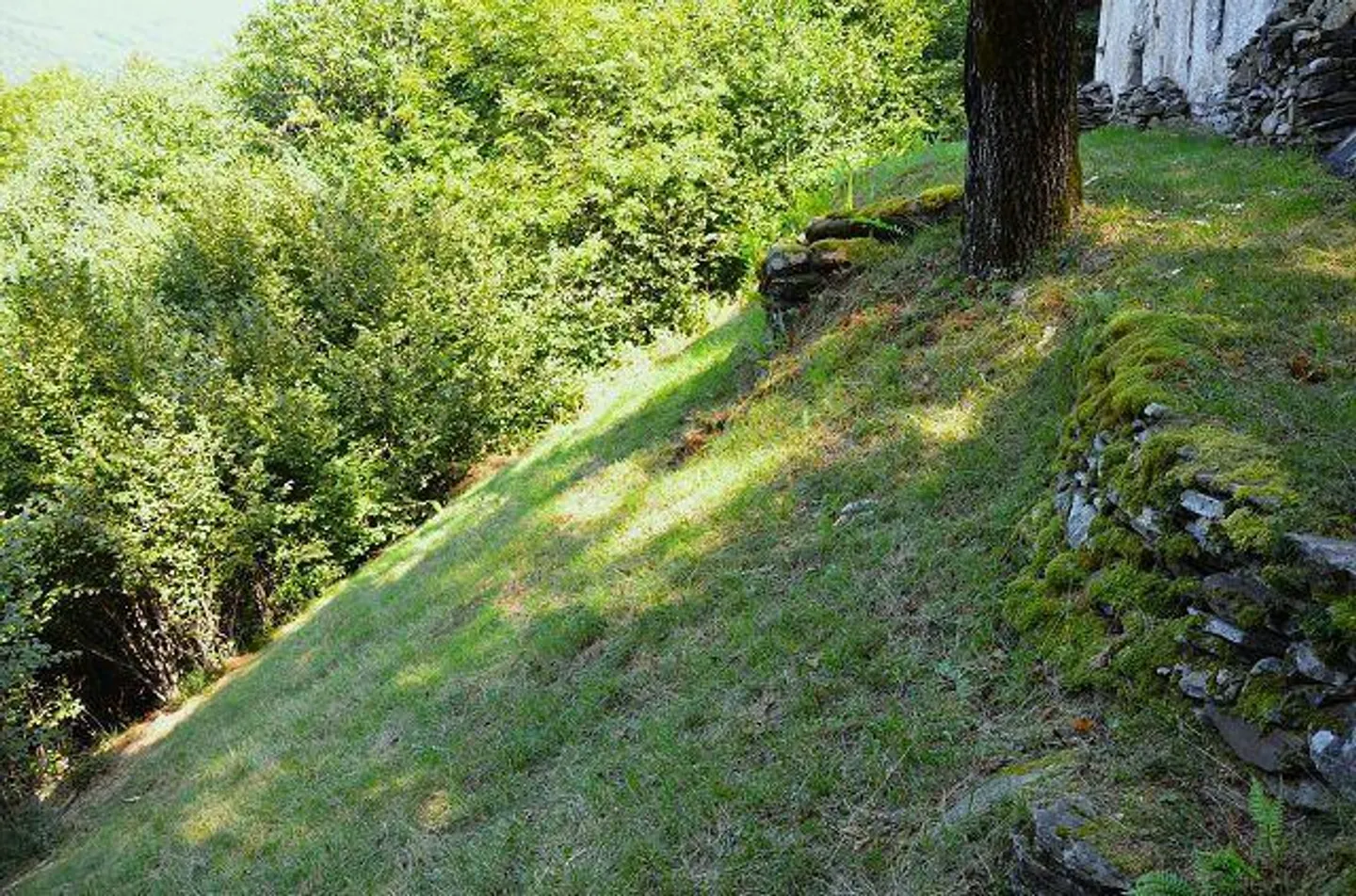 Großes rustikales Haus, das im Wald mit großem Grundstück eingetaucht ist - Foto 15 von 27
