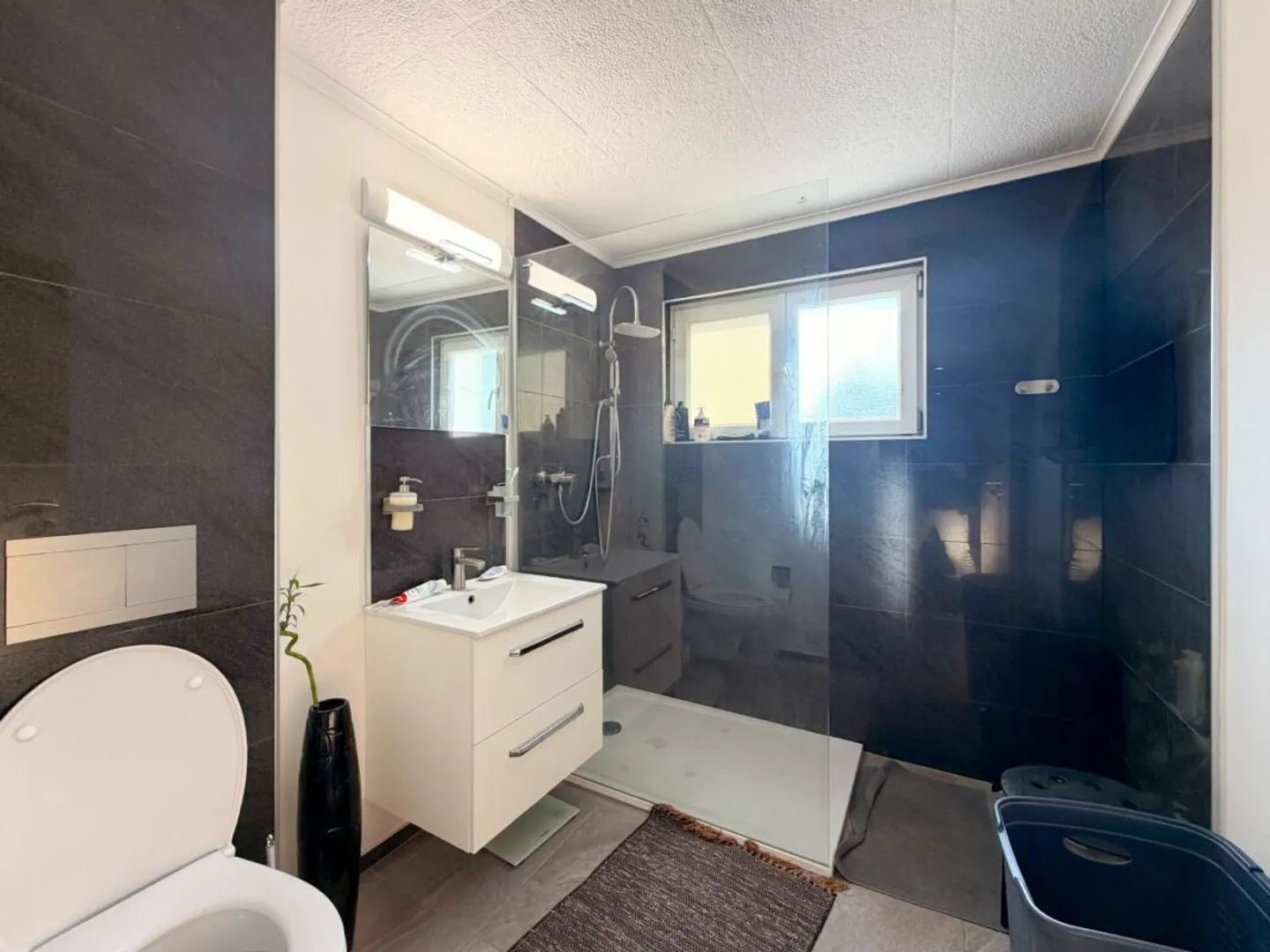 Immeuble de rendement en PPE à Steg - Photo 24 sur 31