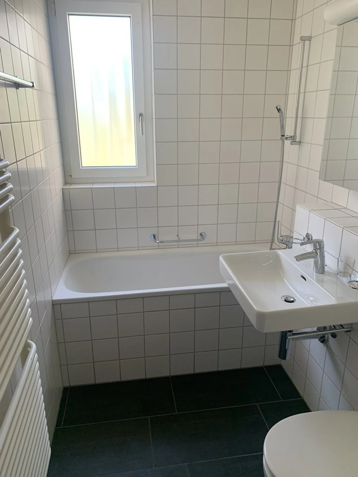 Appartamento soleggiato con vista su Höngg - Foto 3 di 6