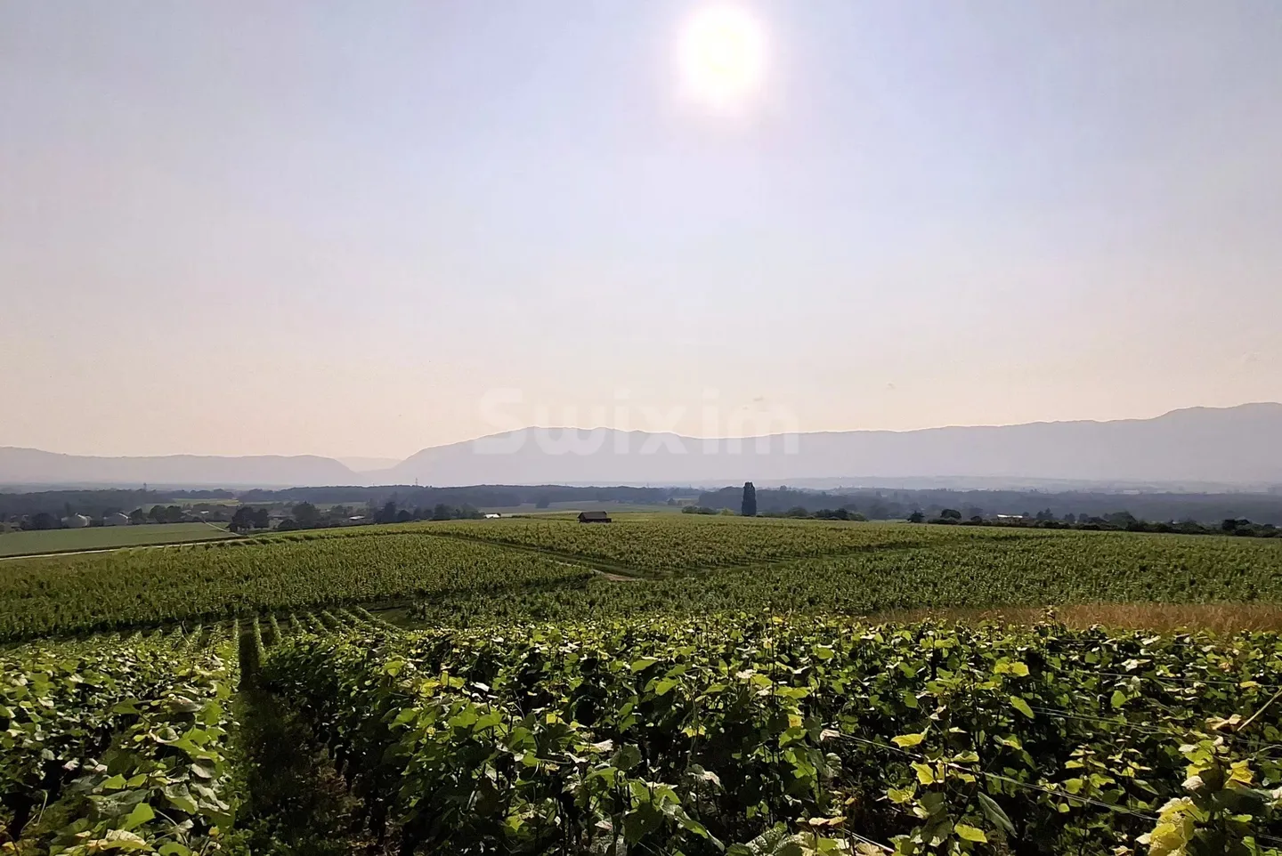 Historic Villa with Unique Character - Photo 1 of 2