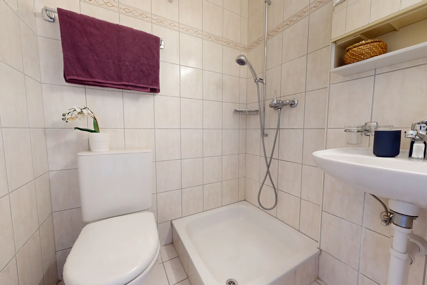 Ampio appartamento 4.5 locali - Foto 10 di 11