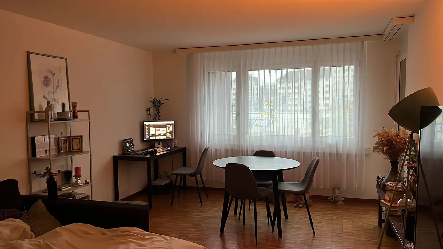 2½ ROOM APARTMENT IN ZURICH - DISTRICT 11, FURNISHED, TEMPORARY - Photo 2 of 6