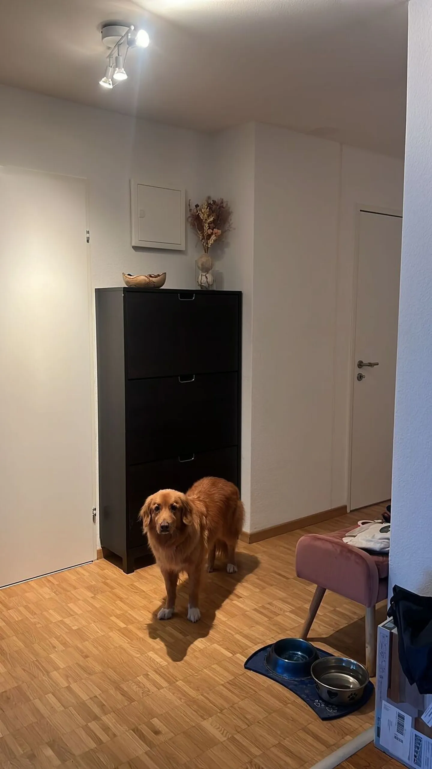 2½ ROOM APARTMENT IN ZURICH - DISTRICT 11, FURNISHED, TEMPORARY - Photo 5 of 6