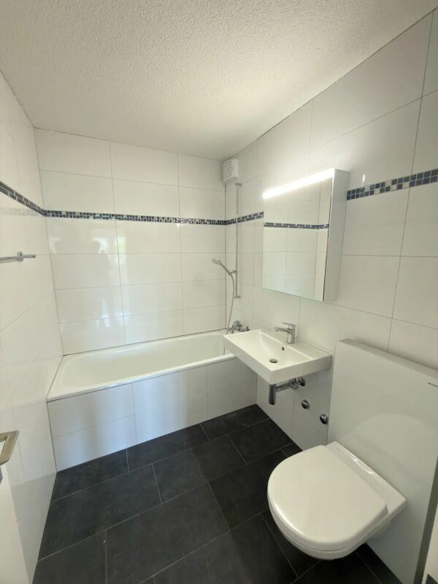 Renovated City Apartment in the Tribschen Quarter - Photo 6 of 12