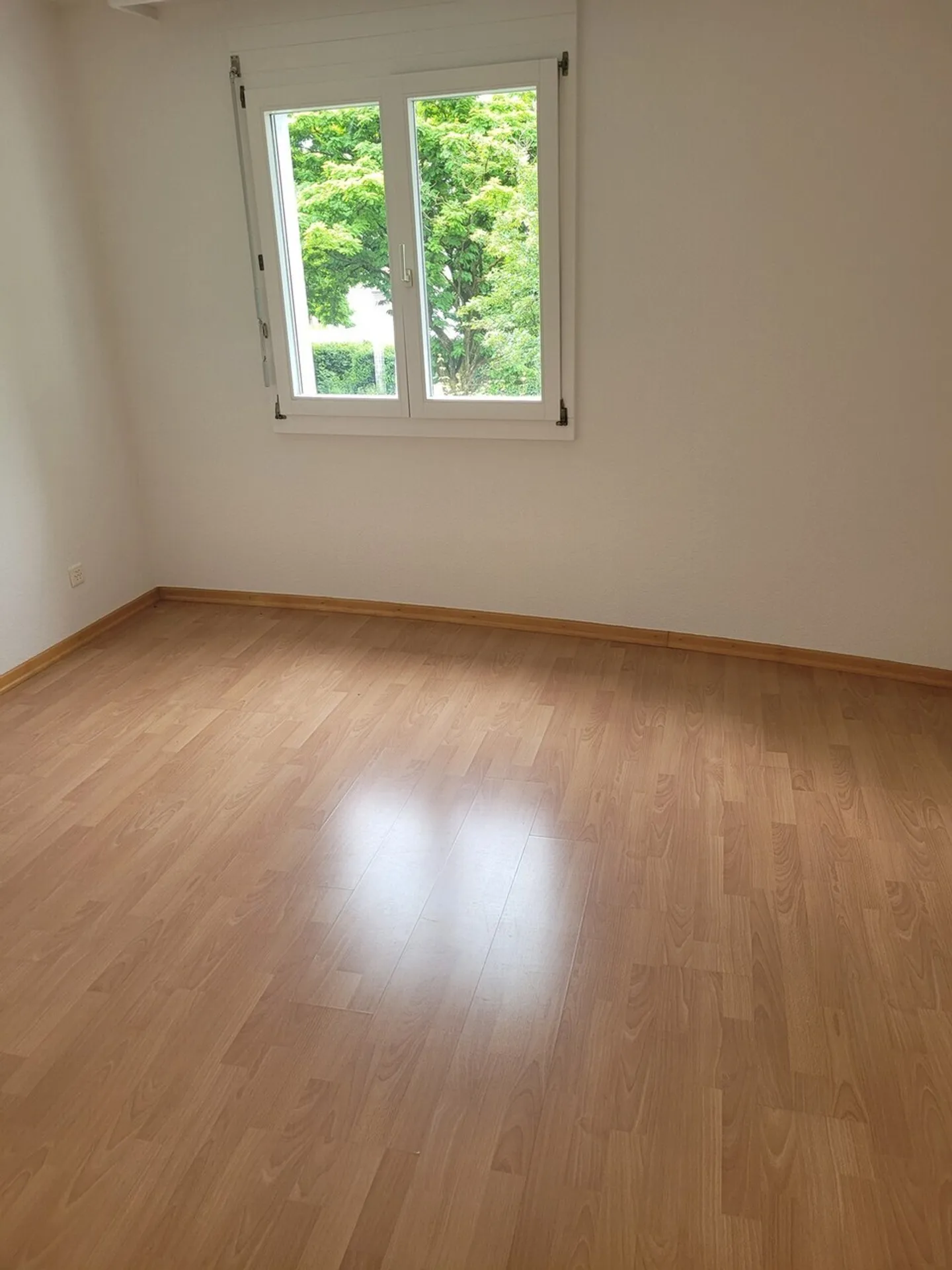 Spacious 3.5 Room Apartment - Photo 4 of 6