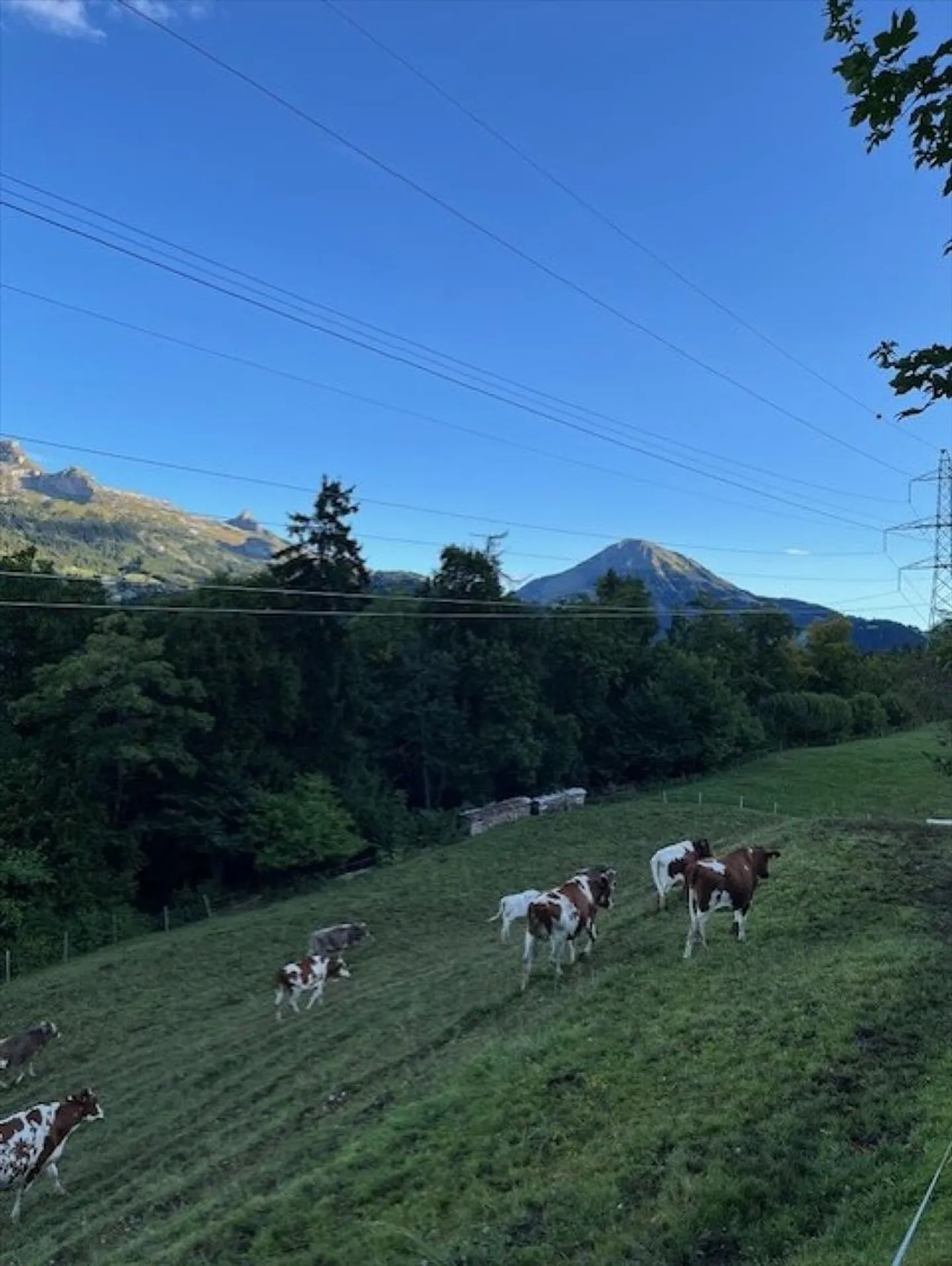 Sfruttamento montano 4 stanze - Foto 4 di 13