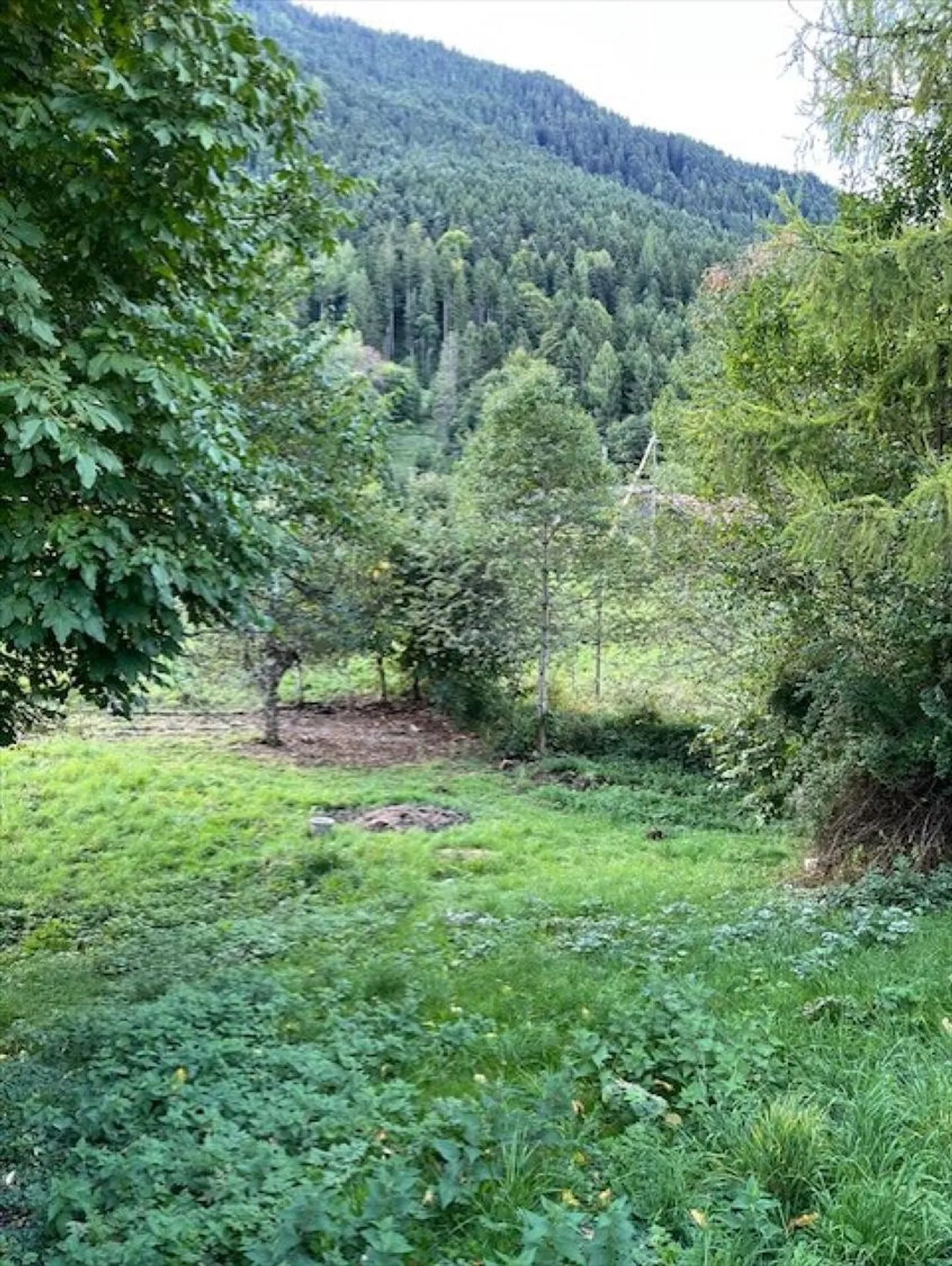 Sfruttamento montano 4 stanze - Foto 11 di 13