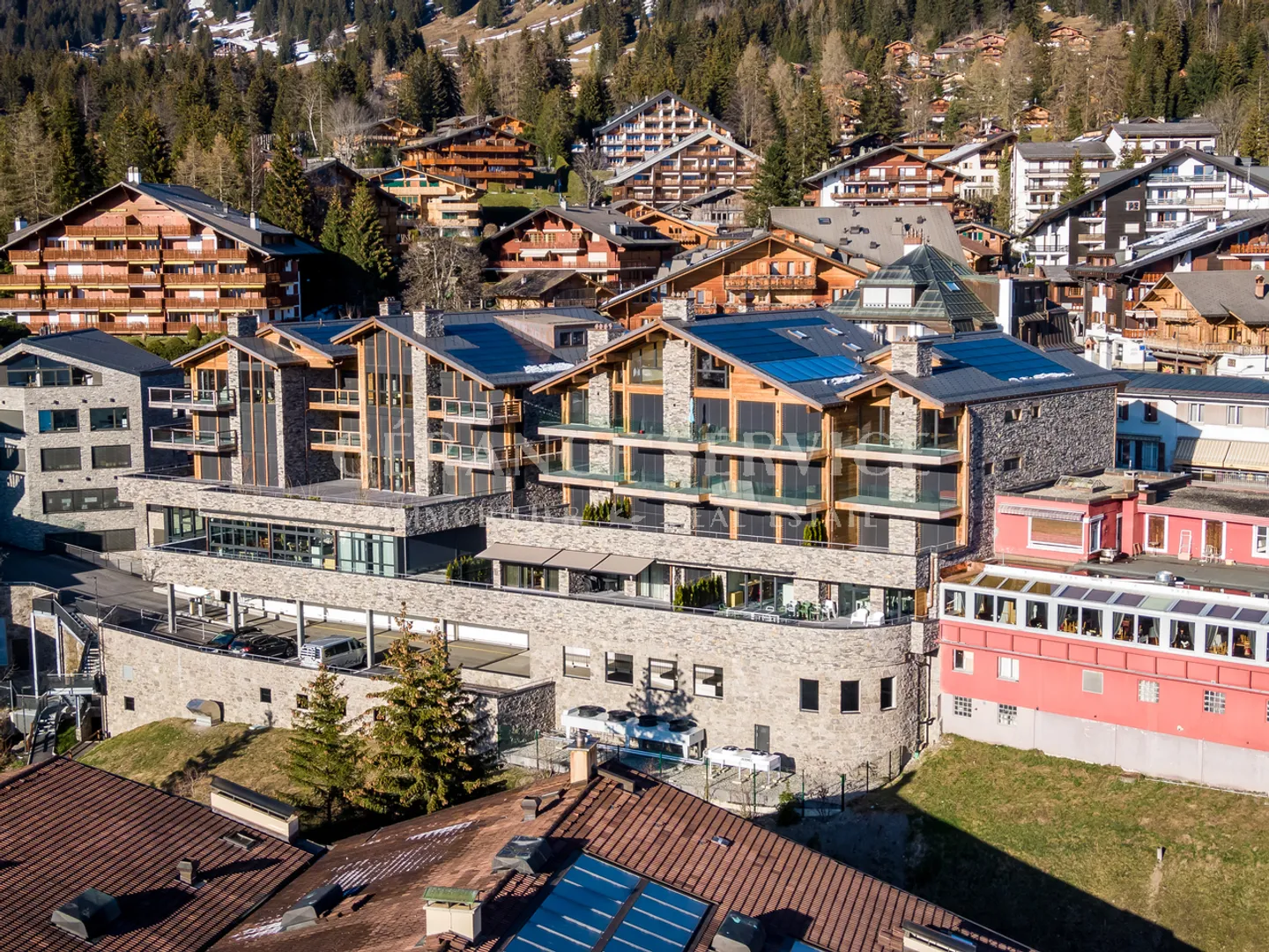 Hedonia B4 - Foto 1 von 13