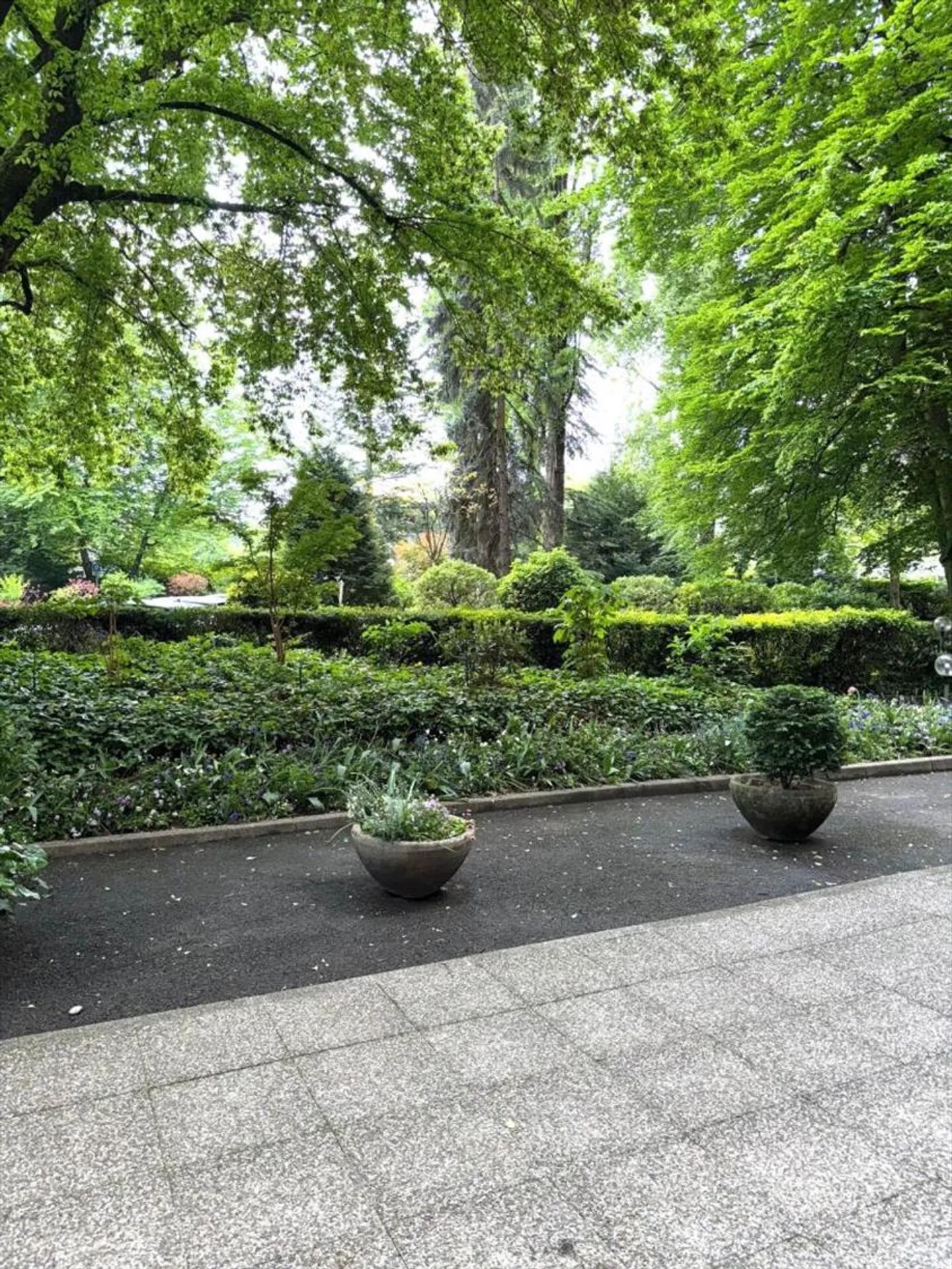 Appartamento 4 locali a Cologny - Foto 2 di 13