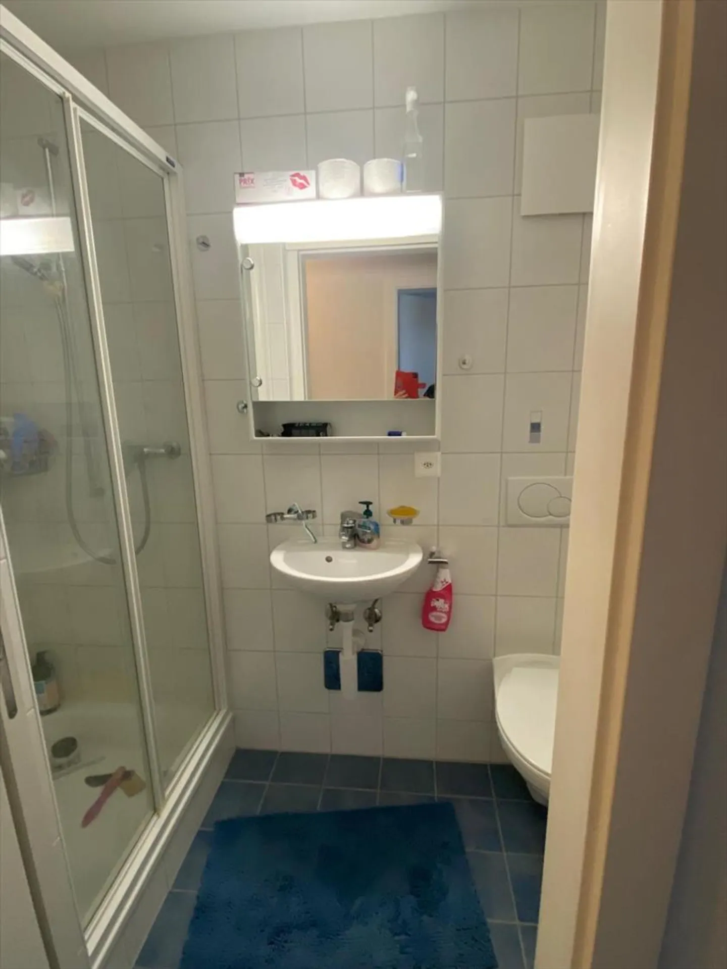 Appartamento 4.5 camere - Foto 5 di 5