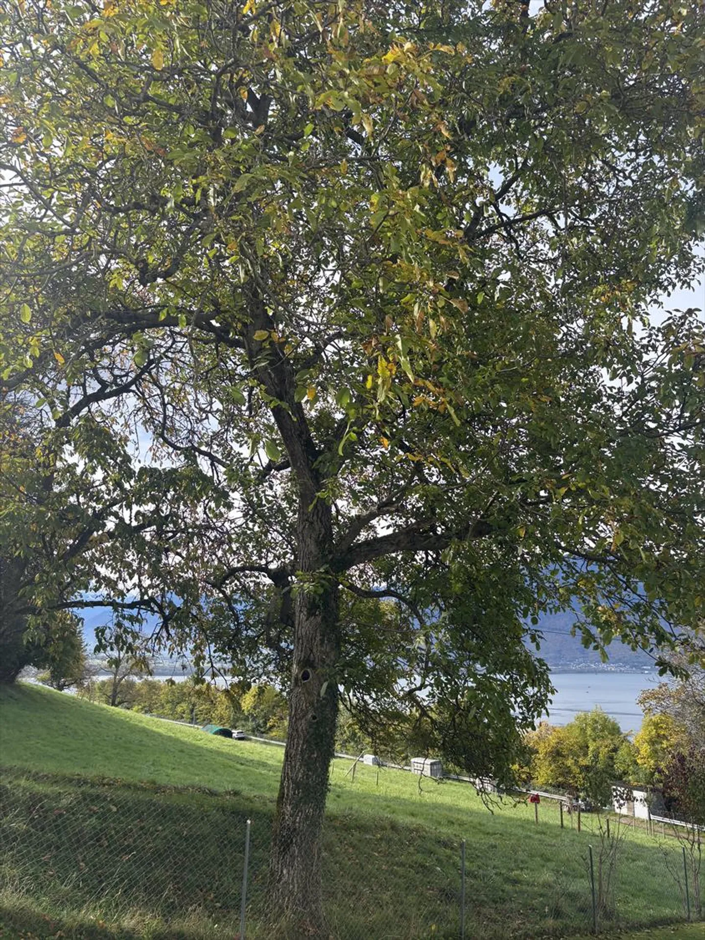 Appartamento - Foto 7 di 19