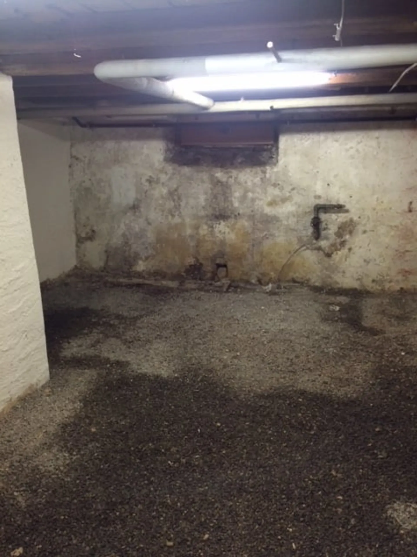 Magazzino o sala fitness in posizione centrale a Rüti - Foto 2 di 2