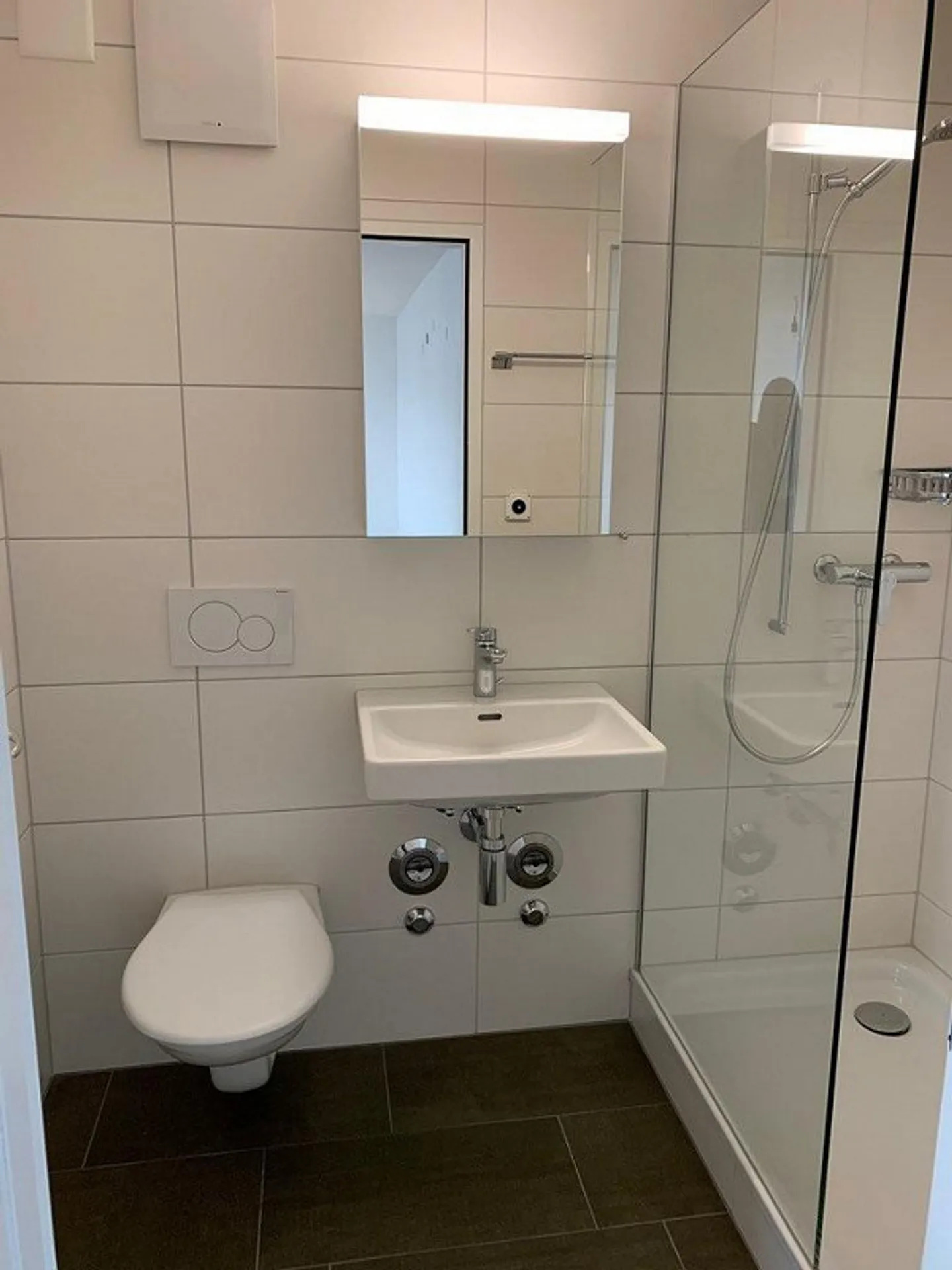 Vivere presso le cascate del Reno con palestra - Foto 3 di 8