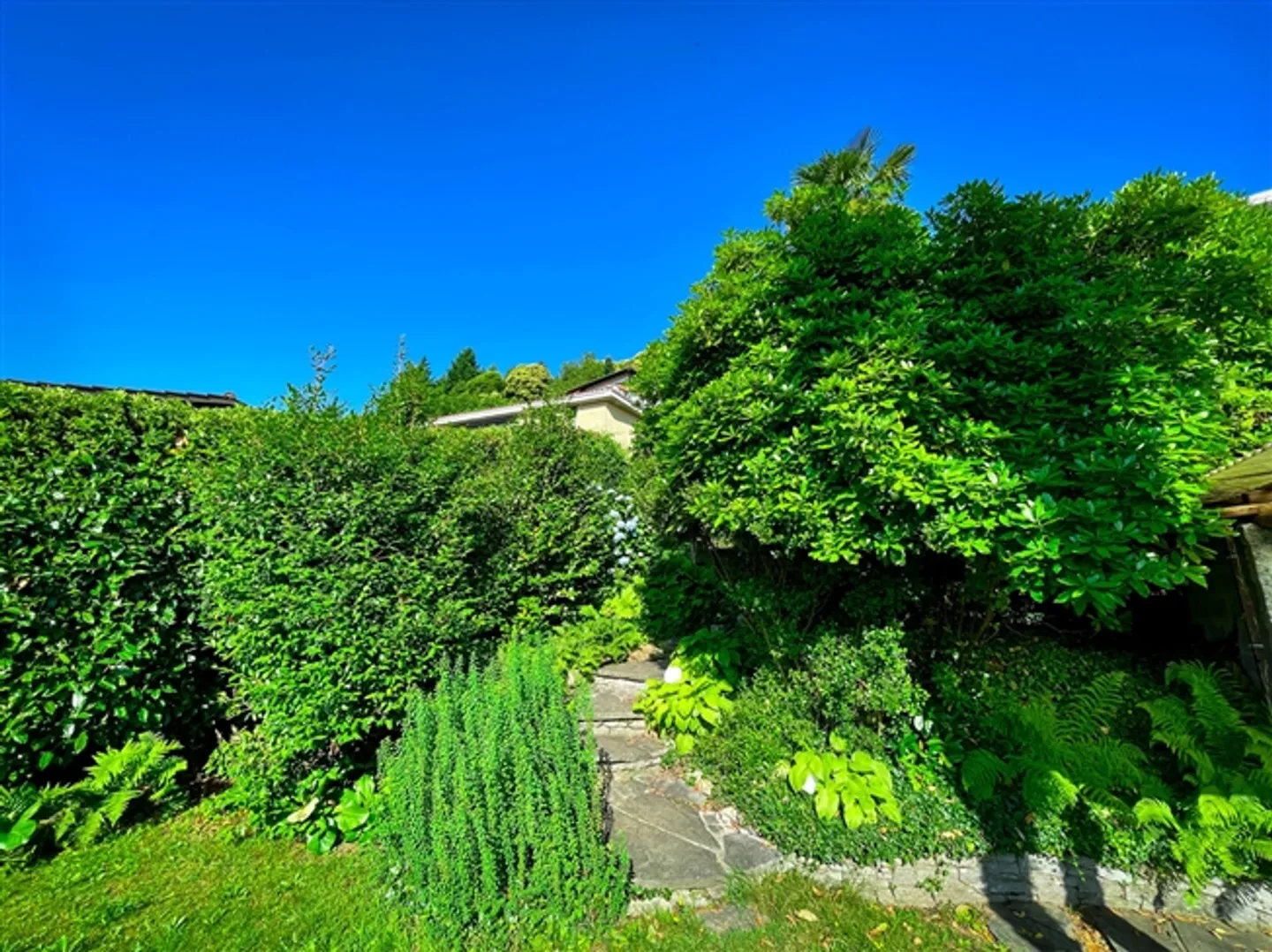 Vernate - Bellissimo terreno edificabile con vista aperta e parziale sul lago - Foto 5 di 12