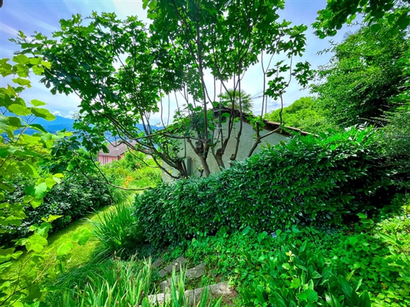 Vernate - Bellissimo terreno edificabile con vista aperta e parziale sul lago - Foto 6 di 12