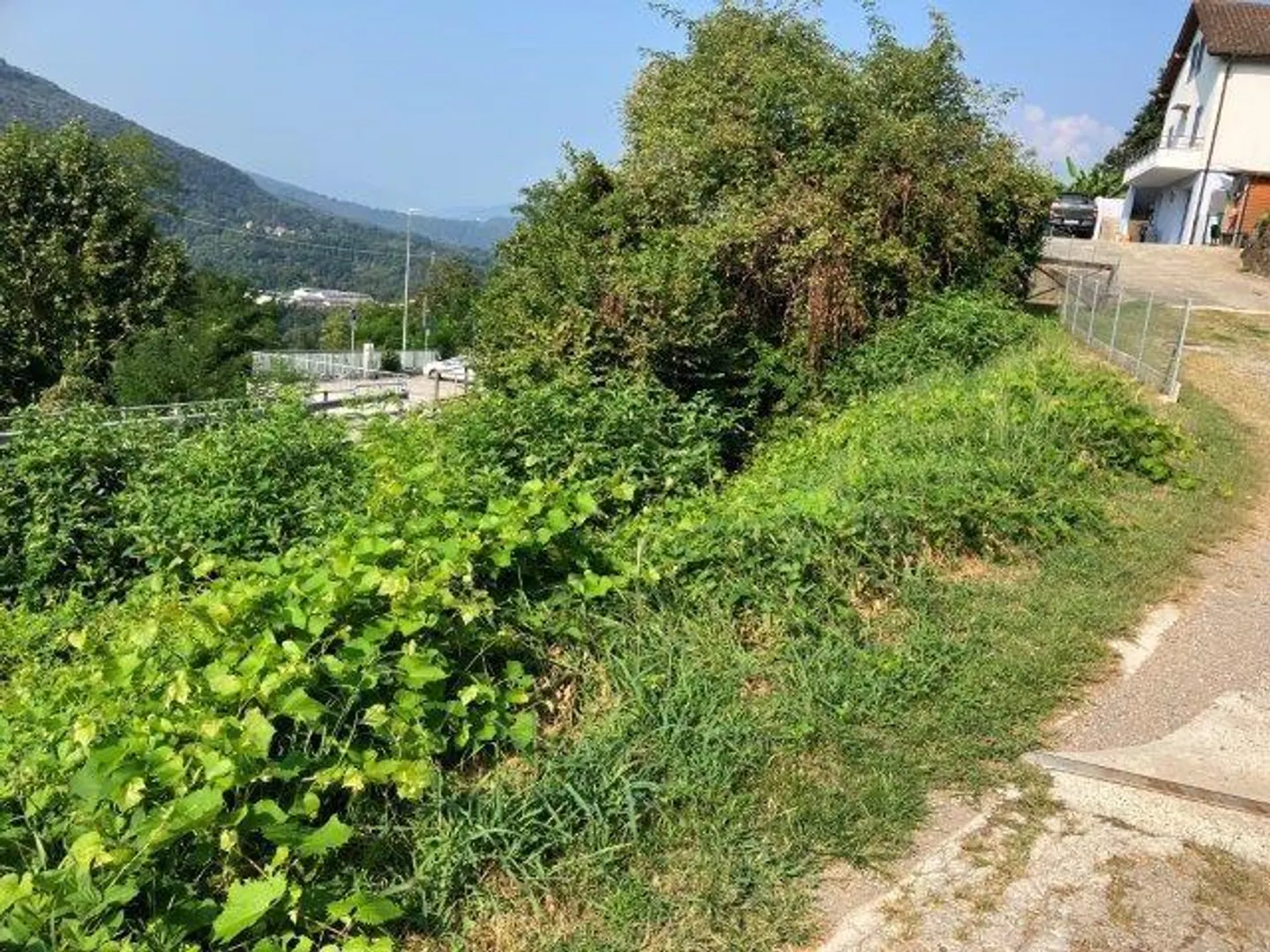 Terreno soleggiato - Foto 3 di 8
