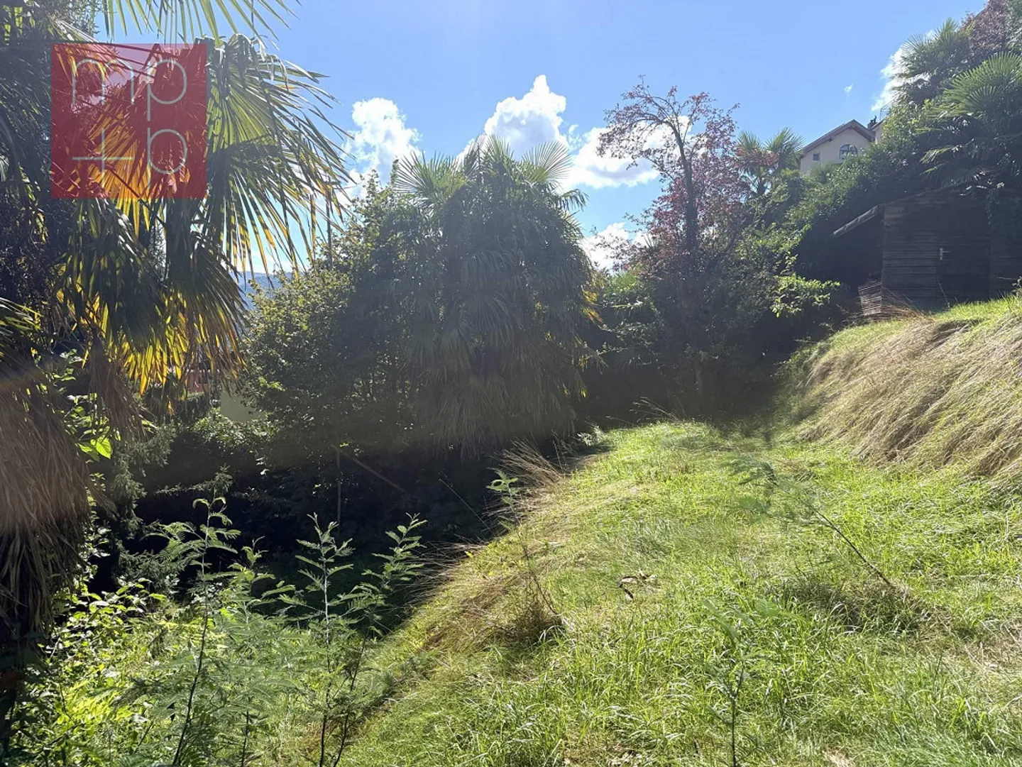 Building Land for Construction - Pura - Photo 4 of 8