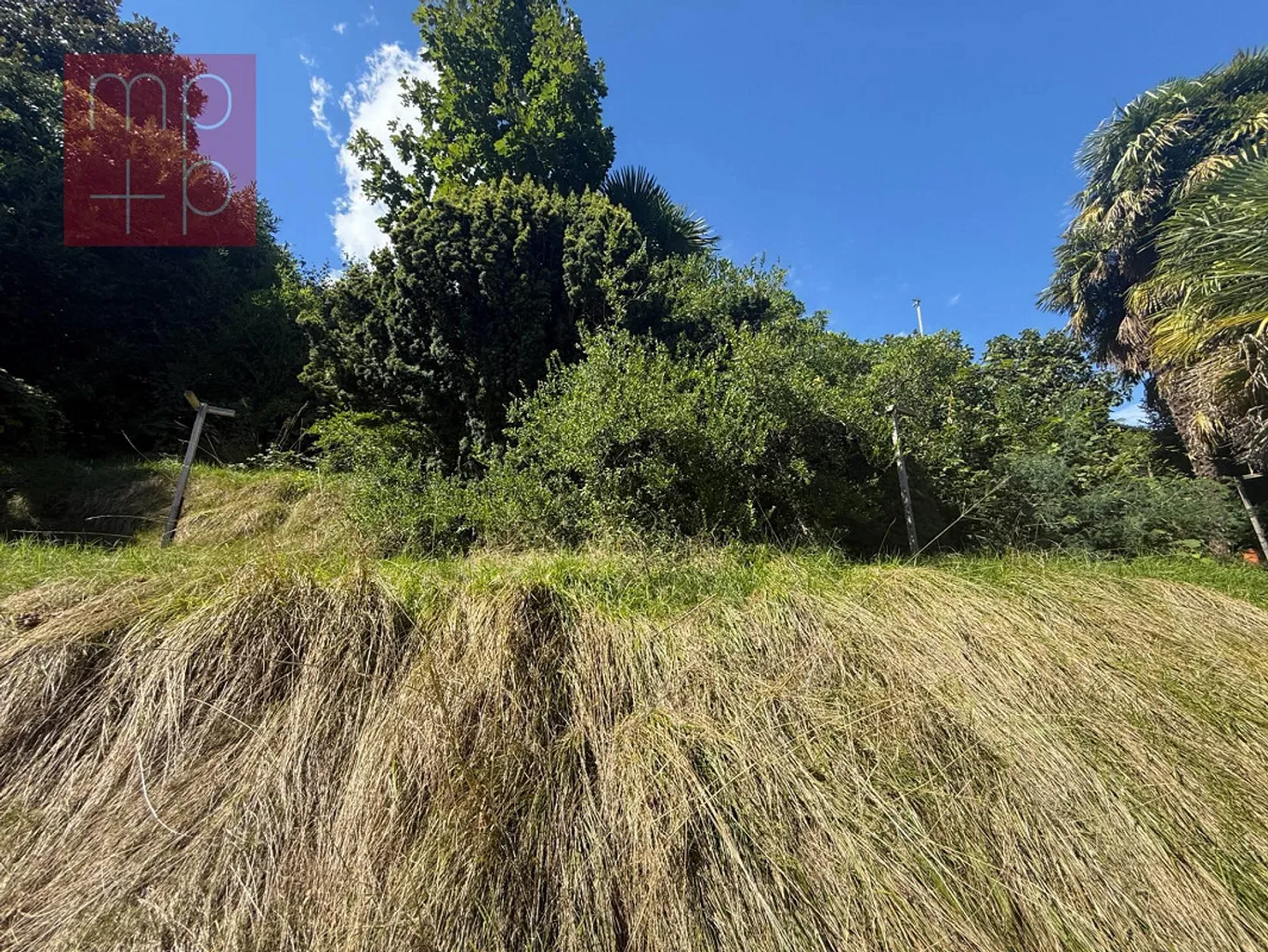 Building Land for Construction - Pura - Photo 7 of 8