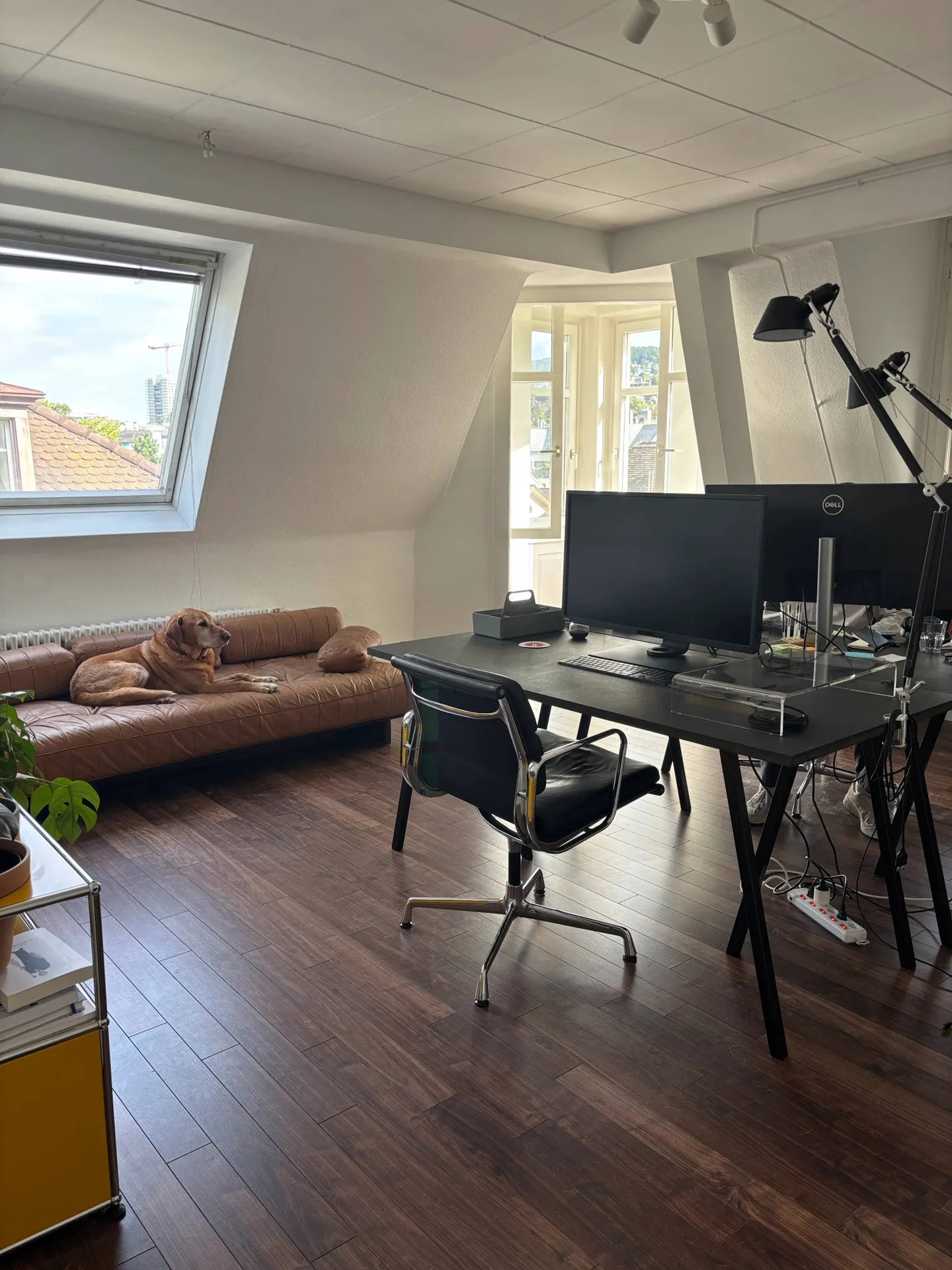 Commercial for rent, Neptunstrasse 20 (Zürich, Switzerland) - Foto 5 von 8