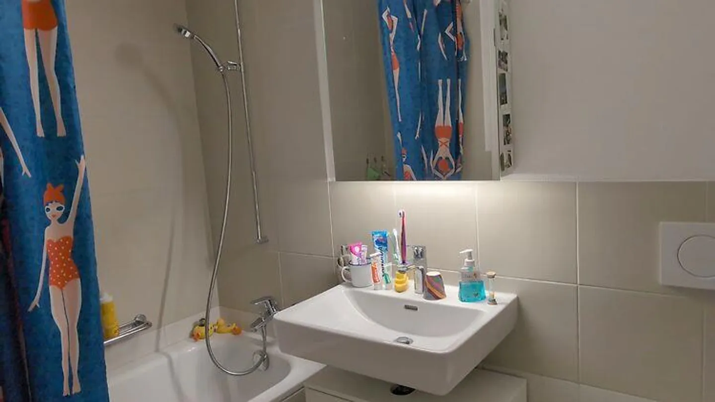 3½ ROOM APARTMENT IN WINTERTHUR - MATTENBACH, FURNISHED, TEMPORARY - Photo 8 of 8