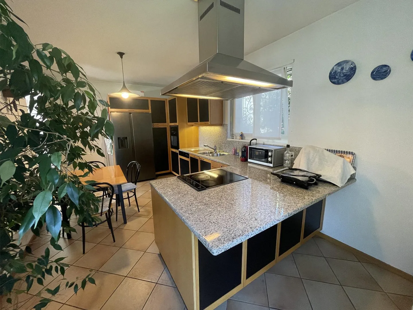 BEAUTIFUL PANORAMIC HOUSE 5.5 WITH DOUBLE PARKING - Photo 8 of 13