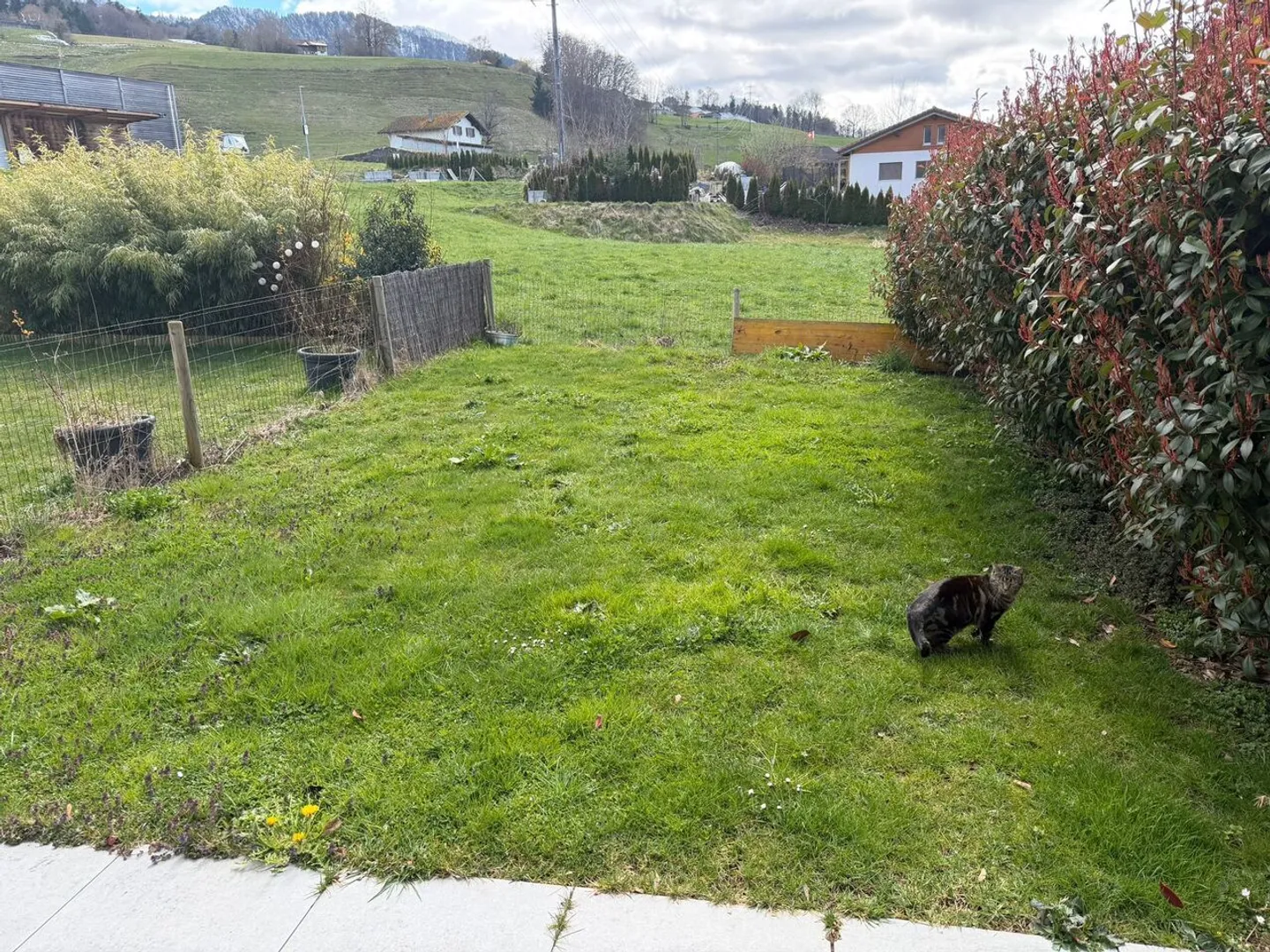 Charming Garden Apartment - Photo 10 of 10