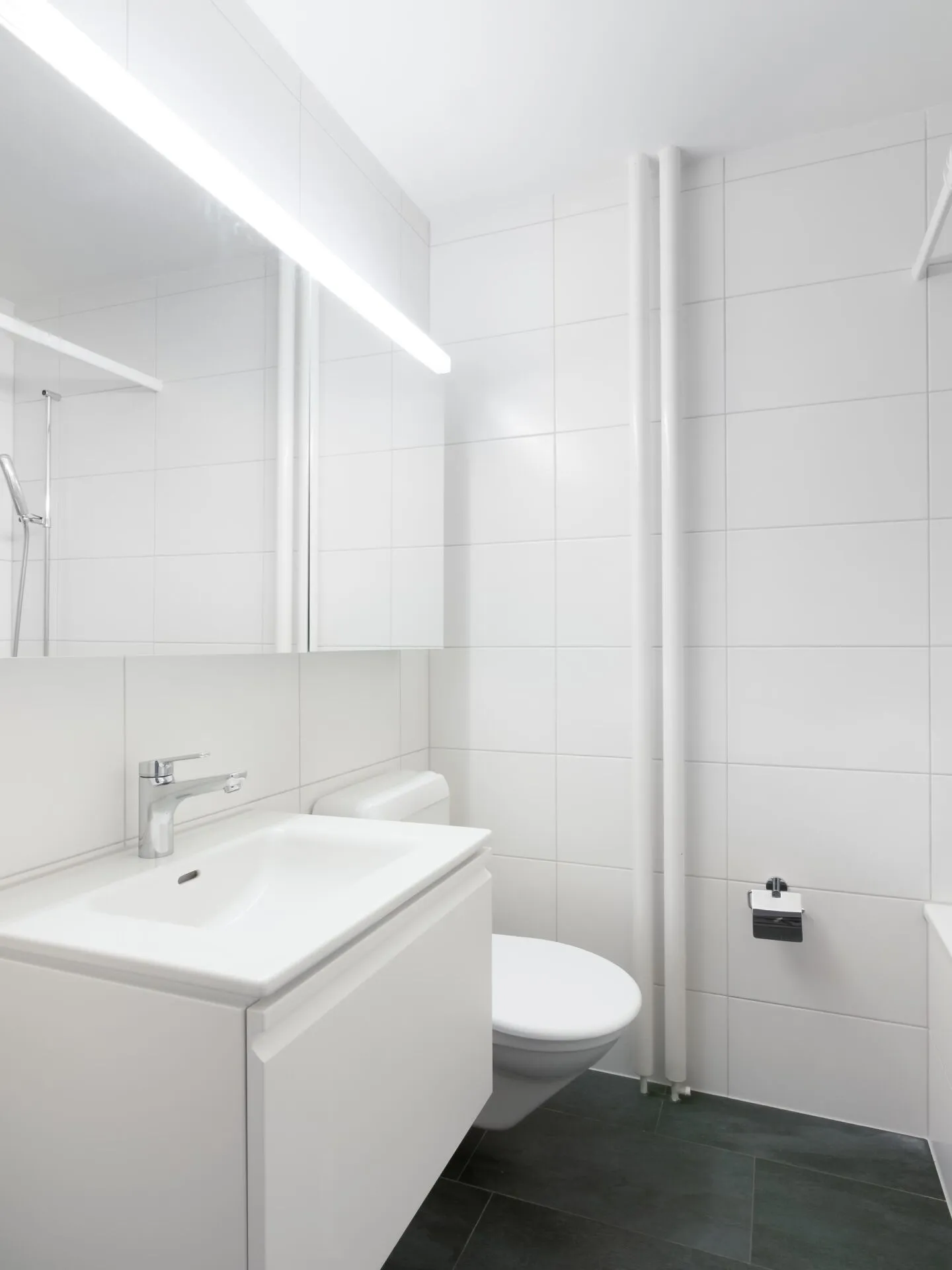 Appartamento 4,5 locali in un ambiente verde - Foto 7 di 14