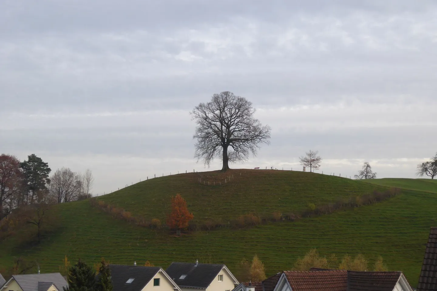 Affittiamo un appartamento 4½ locali quasi nuovo in una posizione bellissima e tranquilla - Foto 19 di 20