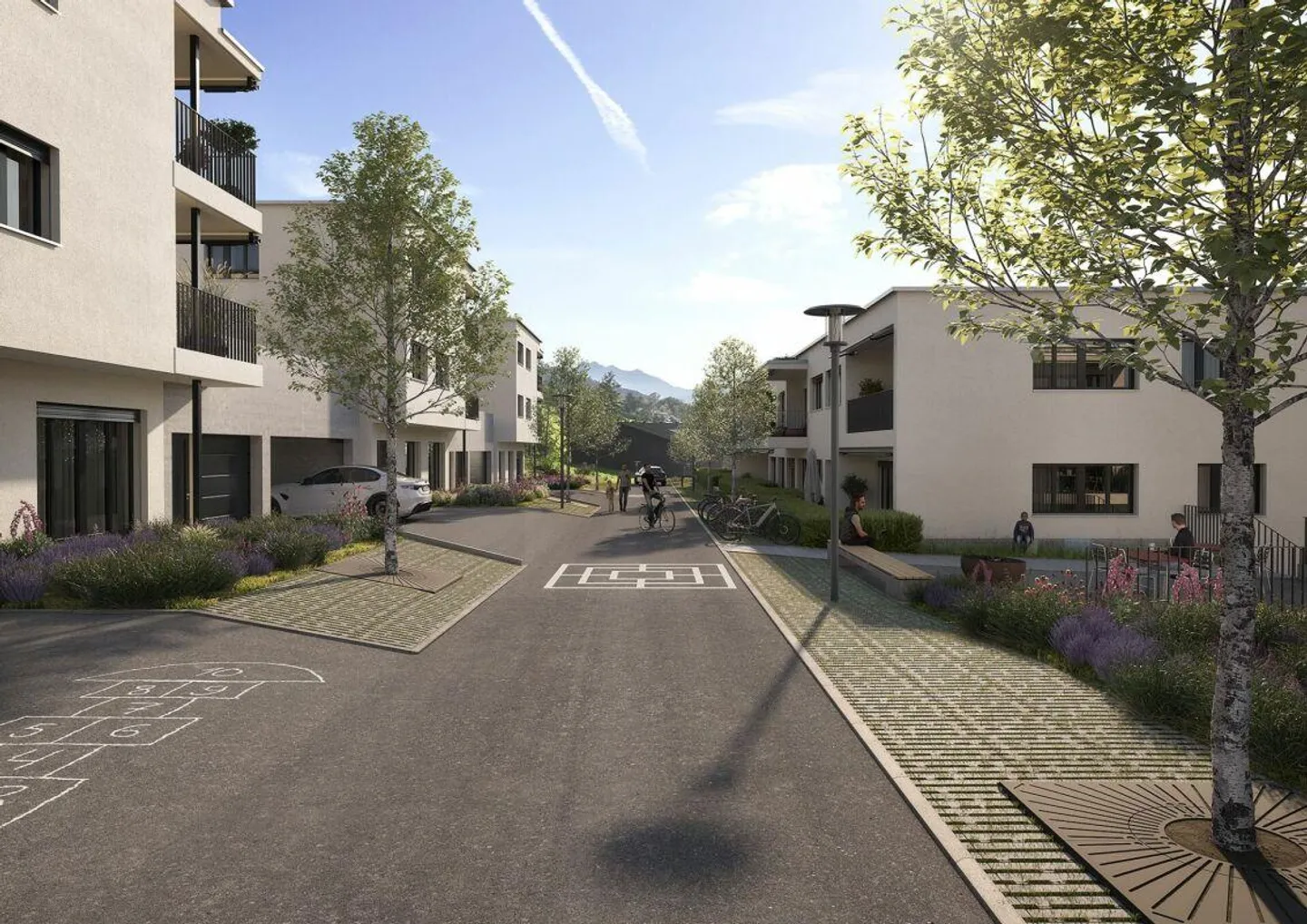 Racines - Photo 6 sur 11