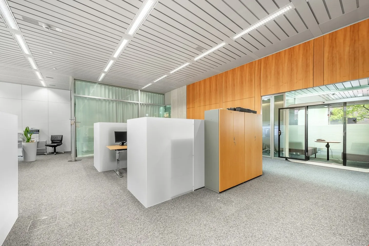 VIA Basilea - direttamente alla stazione ferroviaria di Basilea SBB - Foto 5 di 11