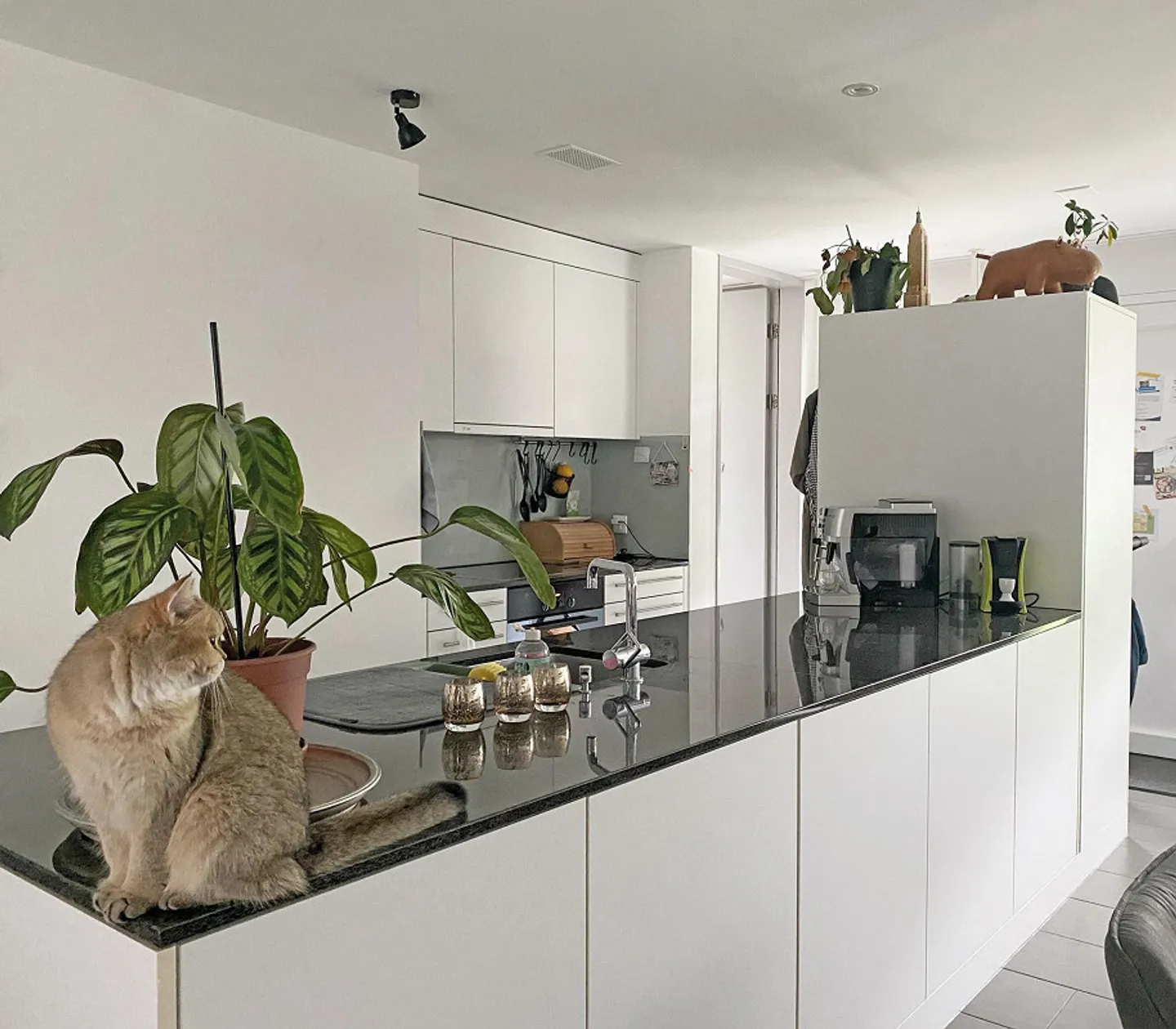 Cucina aperta | Grandi finestre | Torre di lavaggio | 2 bagni - Foto 2 di 12