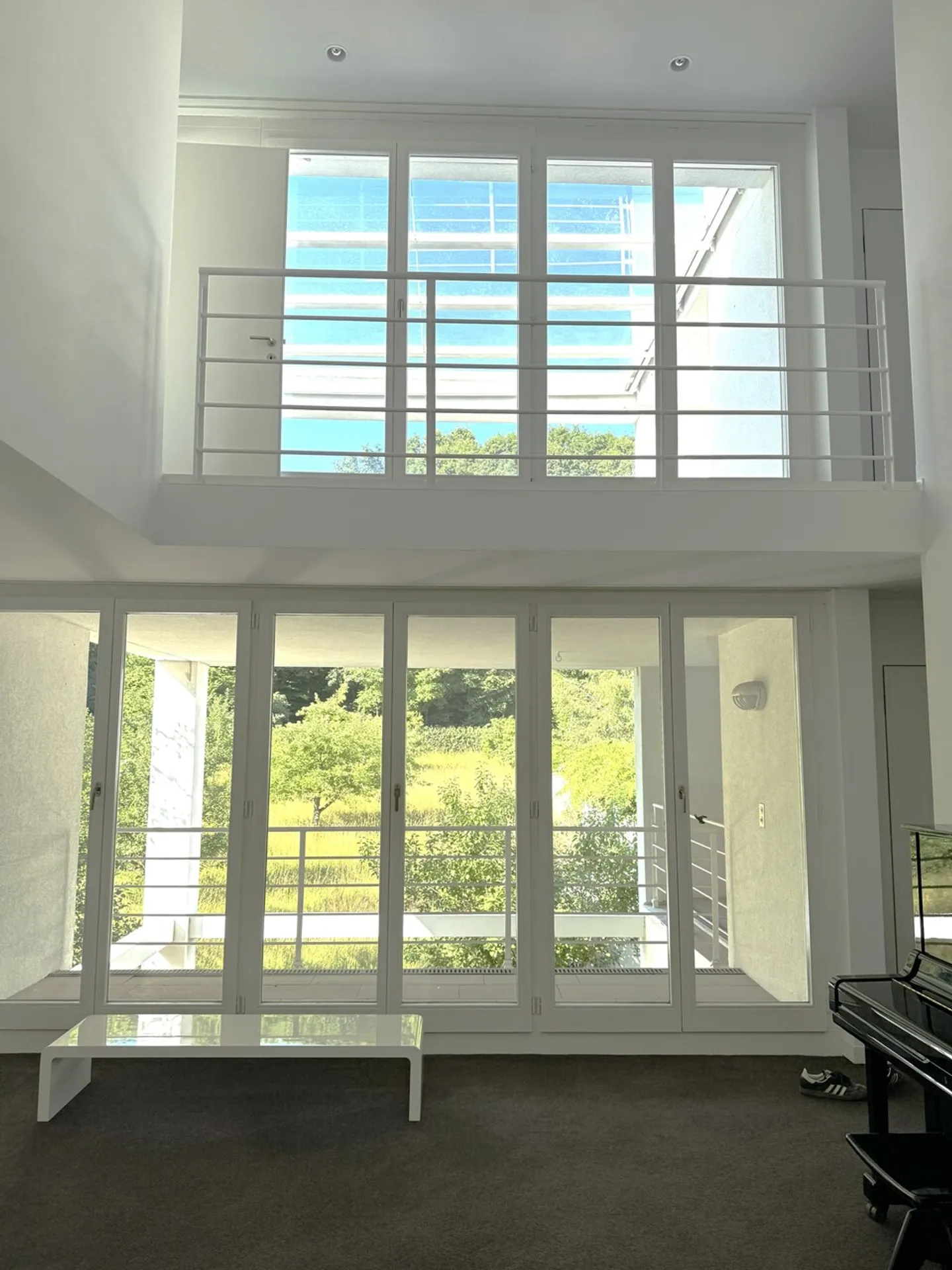 Idillio e generosità – Casa unifamiliare di 7 stanze con giardino e terrazza sul tetto - Foto 4 di 18
