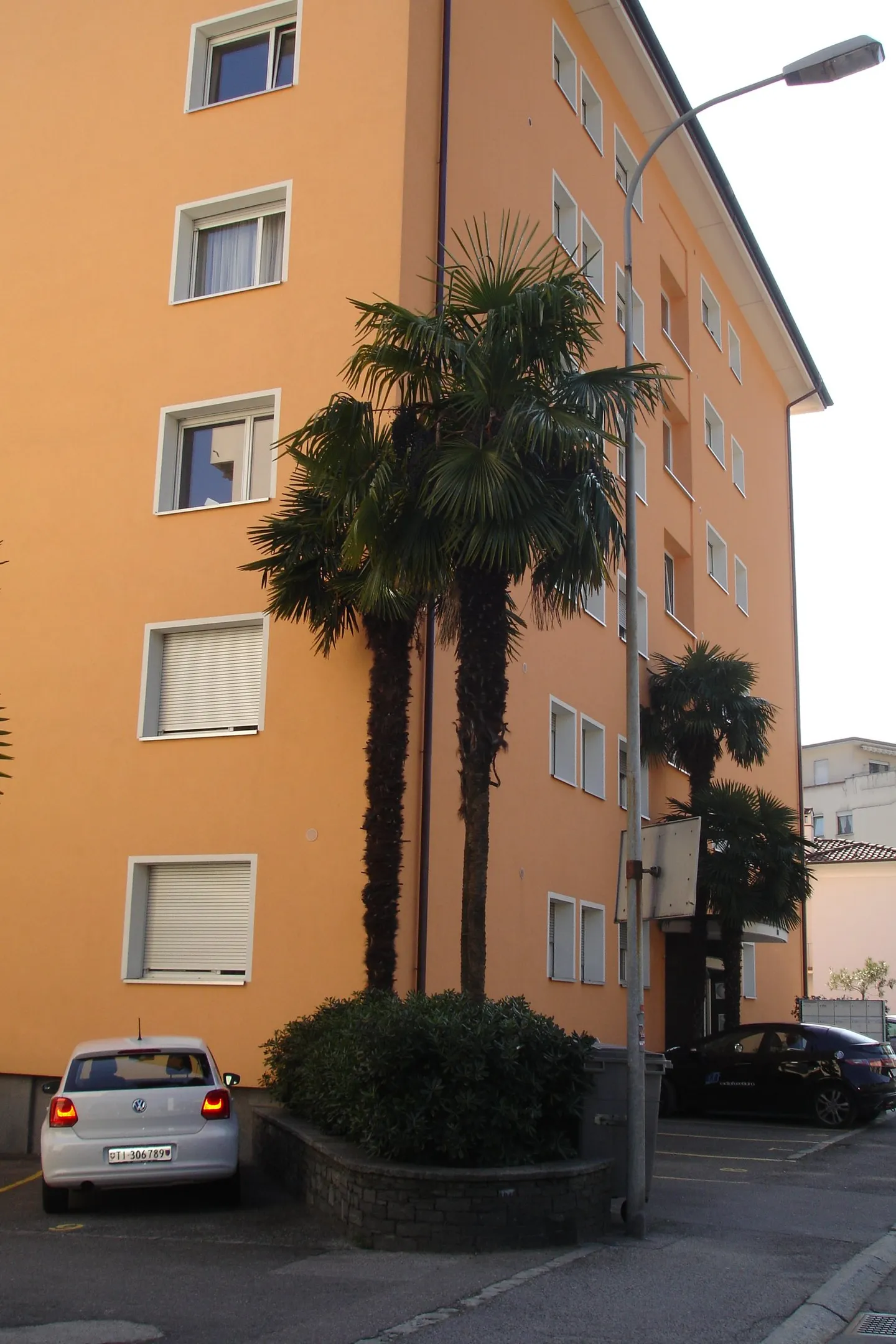 À louer à Locarno appartement entièrement rénové - Photo 4 sur 8