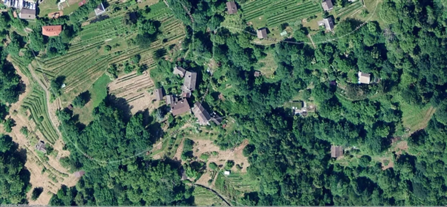 «Wiesen- und Waldparzellen / prato e bosco» - Foto 2 di 2