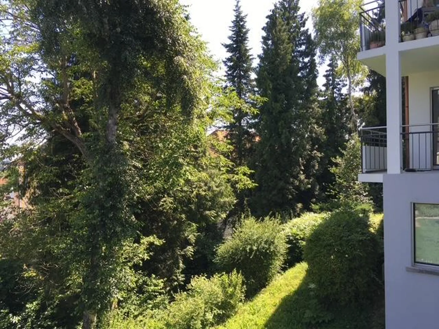 Studio - Foto 5 von 13