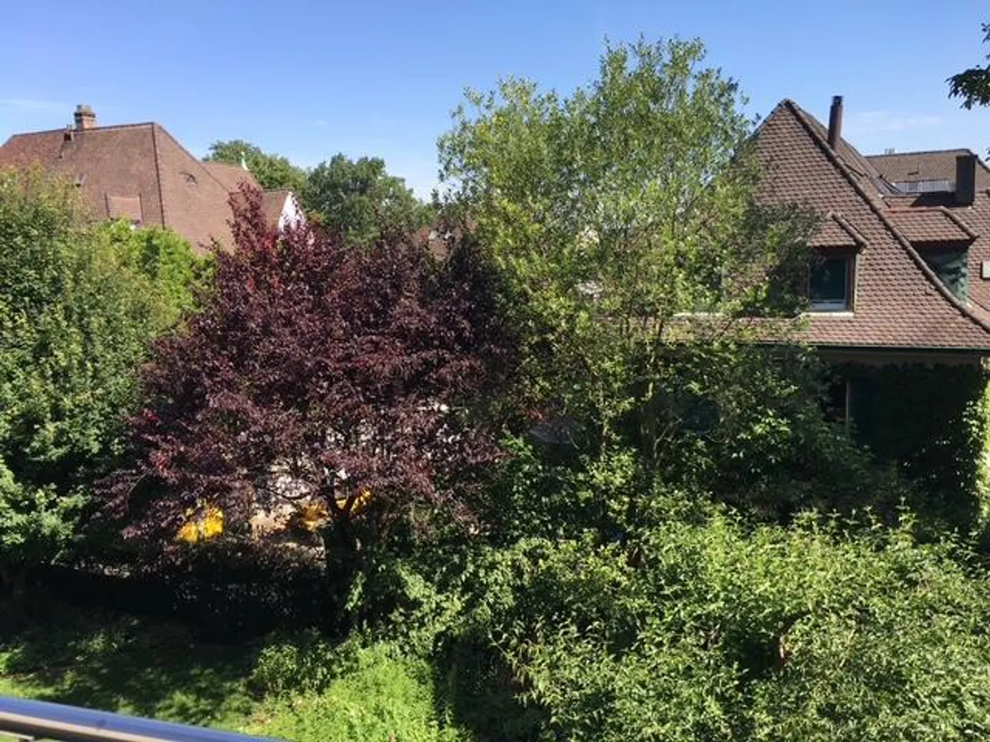 Studio - Foto 1 von 13