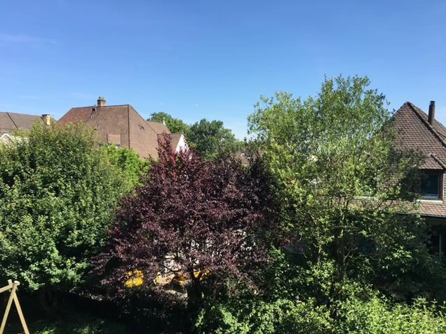 Studio - Foto 2 von 13