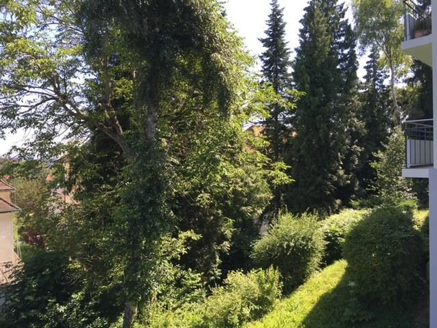 Studio - Foto 4 von 13